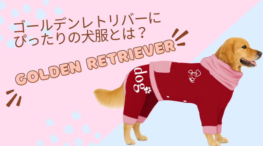 ゴールデンレトリバーにぴったりの犬服とは?快適さとおしゃれを両立するおすすめブランド