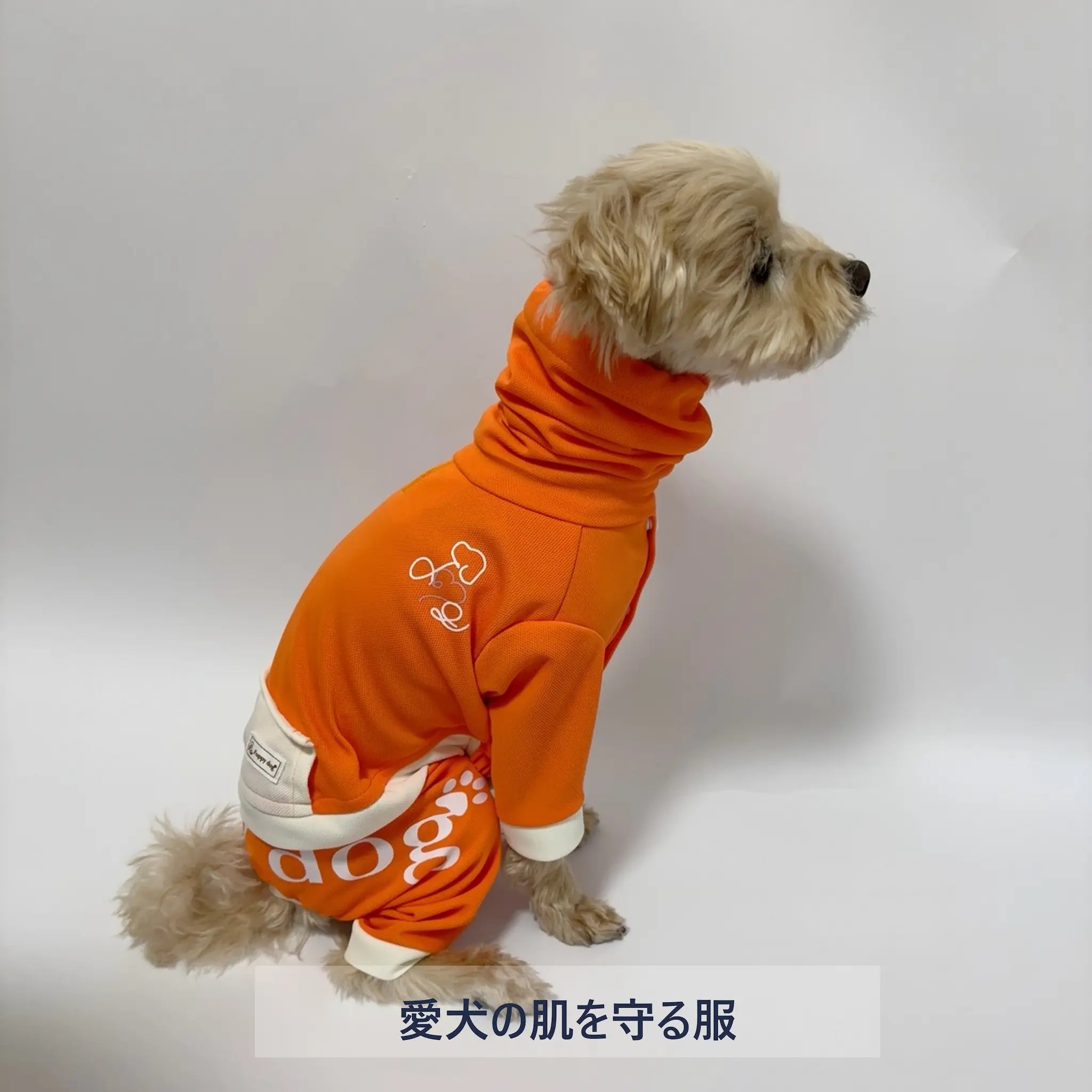 犬用ロンパース|皮膚を守るドッグウェア|スヌード一体型ロンパース|遮