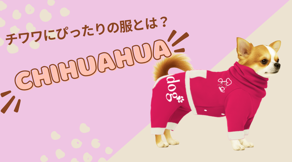 【2025年最新版】チワワにぴったりの服の選び方とおすすめアイテム10選