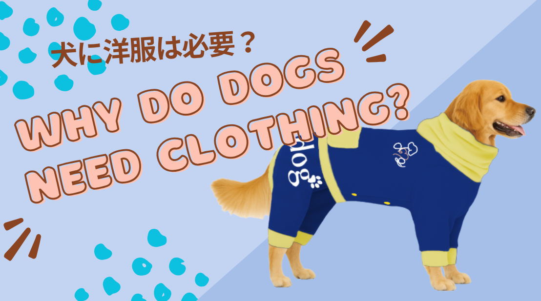 【Fuppy dog】愛犬に優しいおしゃれで安全な服の選び方とおすすめブランド