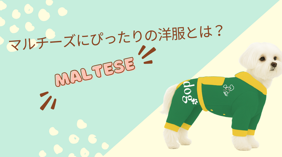 マルチーズにぴったりの洋服とは？サイズ選びとおすすめブランド徹底解説！【小型犬向けロンパース】