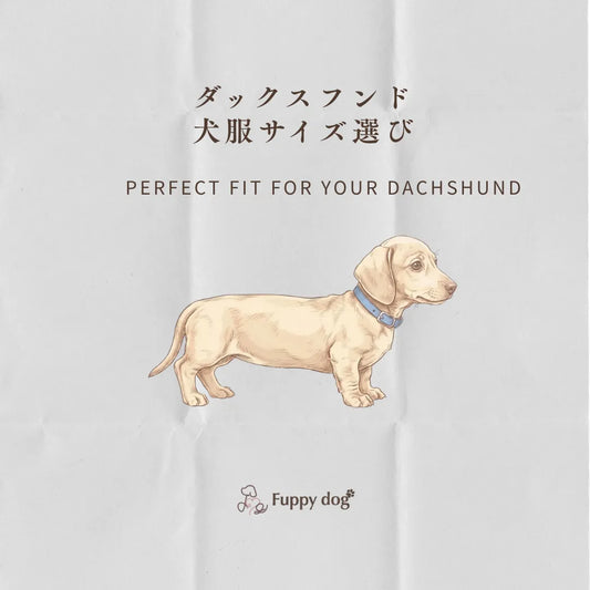 【2026最新】ダックスフンドの服選びで失敗しない3つのコツ｜既製品が合わない「胸パツ・袖余り」を解消する専門店とは？