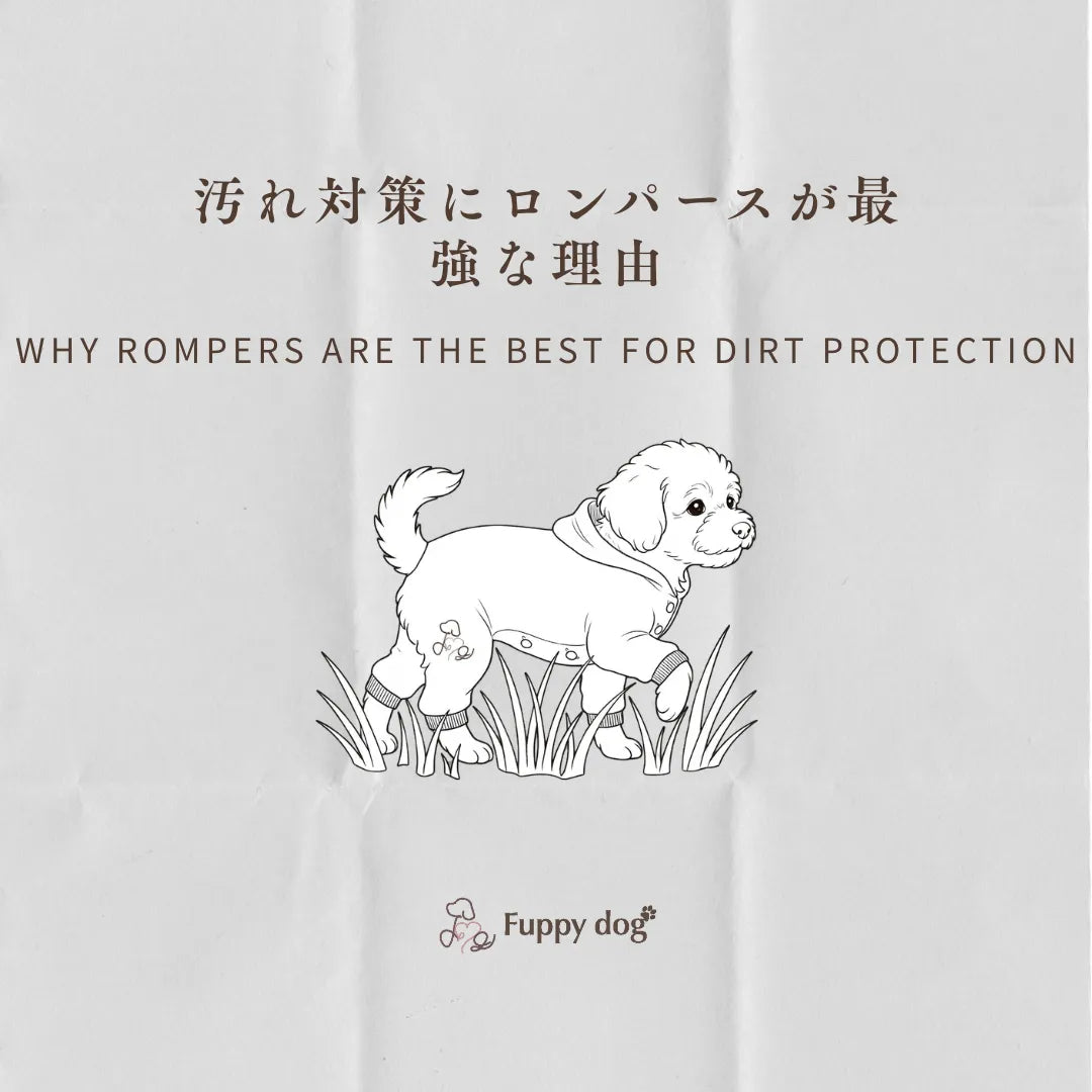 【散歩汚れ防止】犬服はロンパースがおすすめ！泥ハネや汚れを「最小限」にする選び方