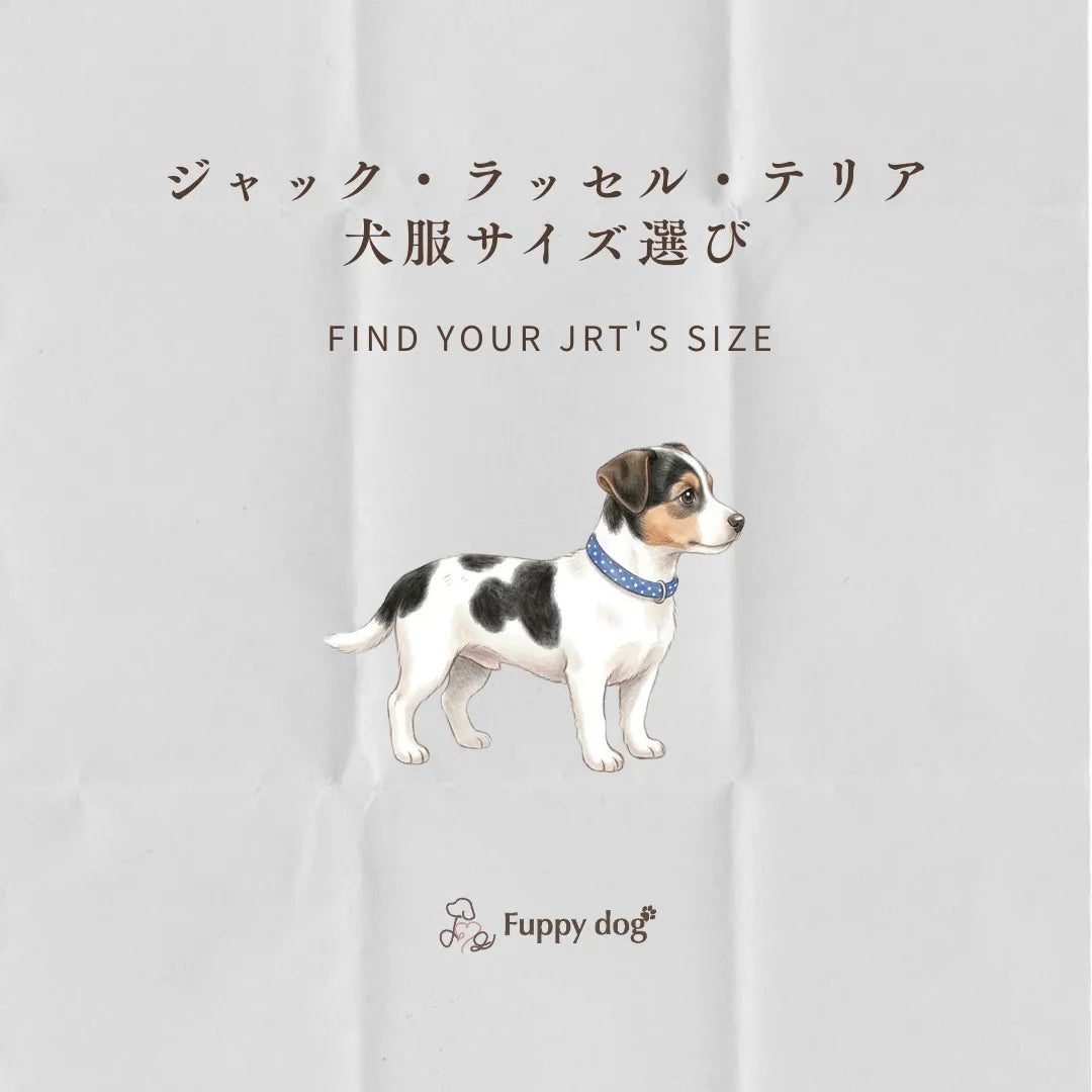 【保存版】ジャック・ラッセル・テリアの犬服サイズ選び！サイズの測り方とおすすめのブランド