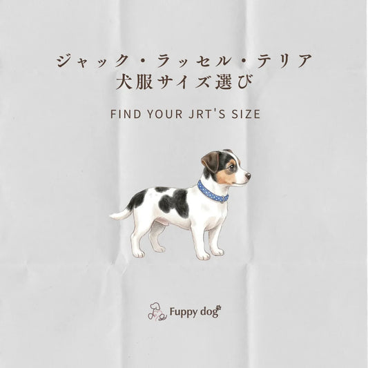 【保存版】ジャック・ラッセル・テリアの犬服サイズ選び！サイズの測り方とおすすめのブランド
