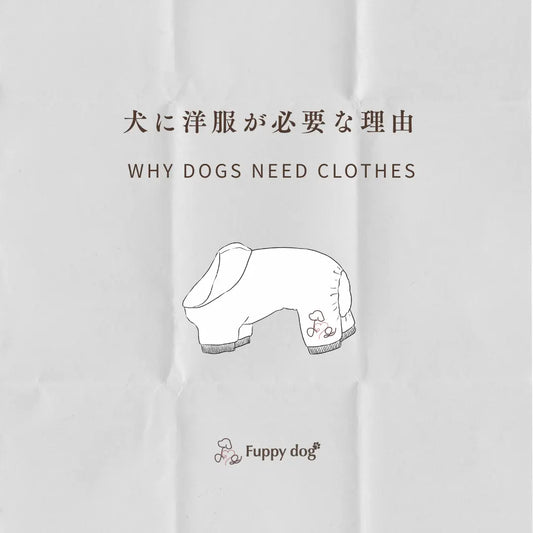 犬に洋服が必要な理由