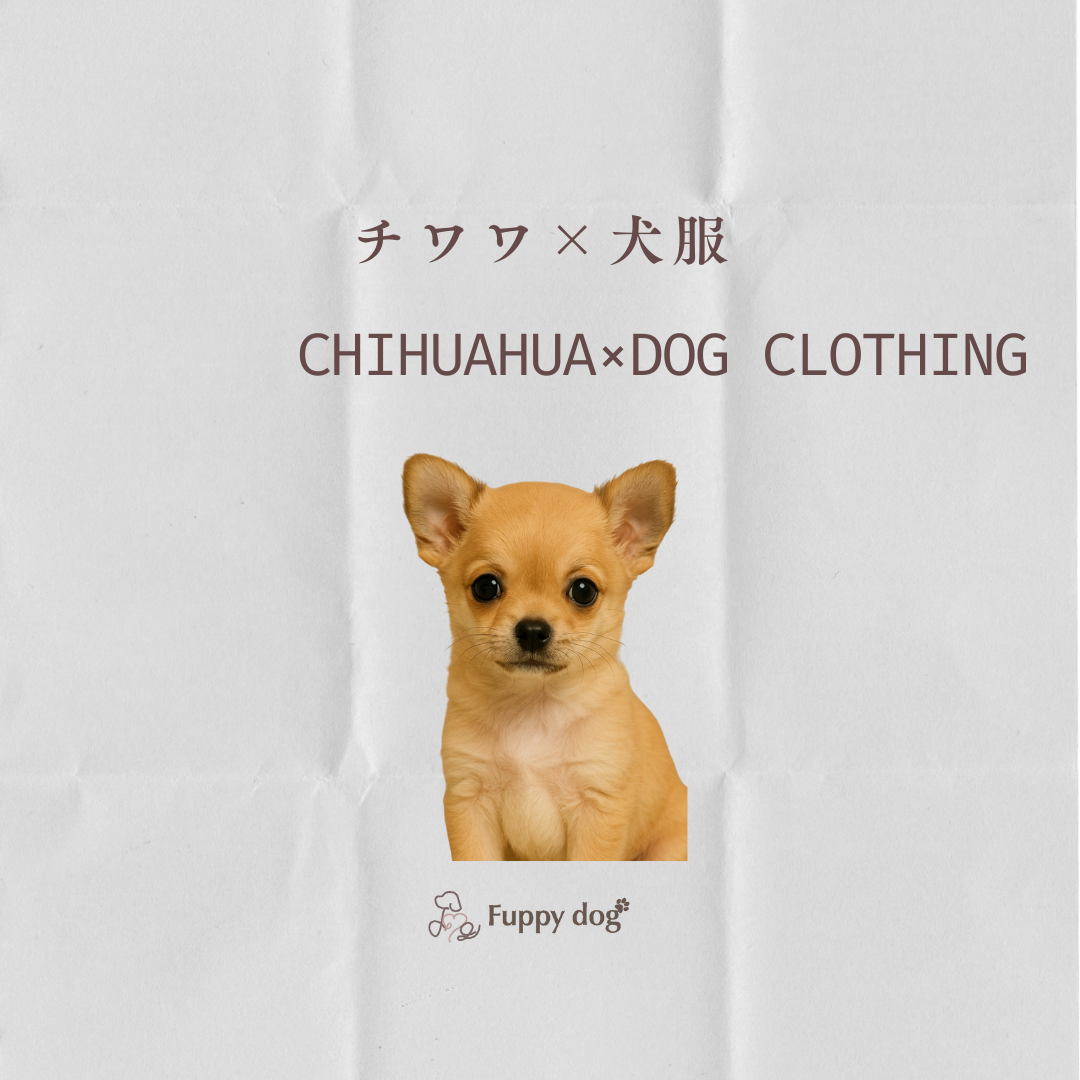 【2025年最新版】チワワにぴったりの服の選び方とおすすめアイテム10選