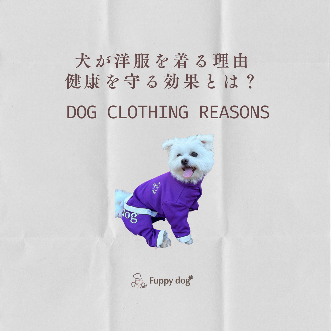 犬が洋服を着る理由 「健康を守る効果」とは？