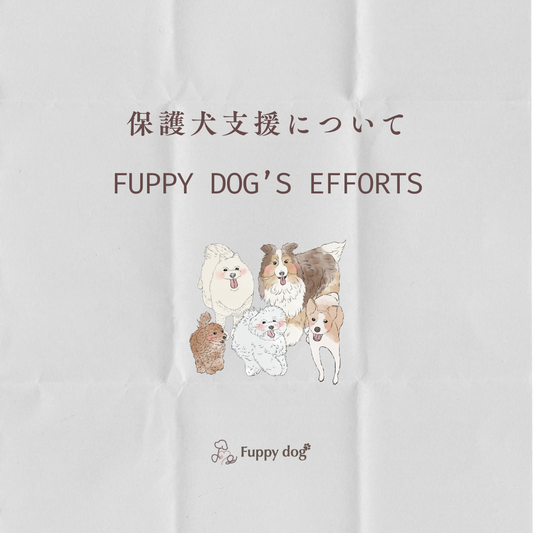 【Fuppy dogの取り組み】保護犬支援について