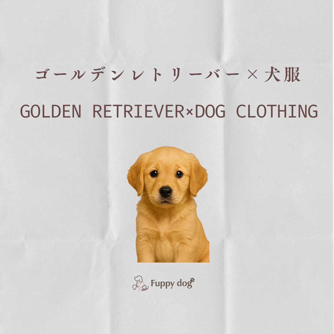 ゴールデンレトリバーにぴったりの犬服とは？快適さとおしゃれを両立するおすすめブランド