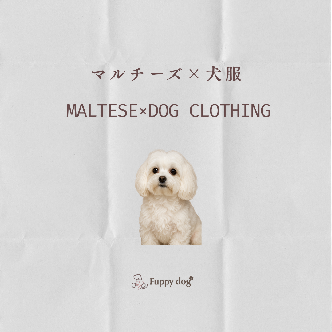 マルチーズにぴったりの洋服とは？サイズ選びとおすすめブランド徹底解説！【小型犬向けロンパース】