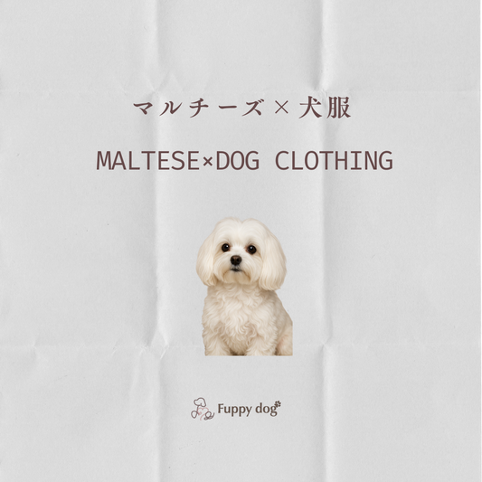 マルチーズにぴったりの洋服とは？サイズ選びとおすすめブランド徹底解説！【小型犬向けロンパース】