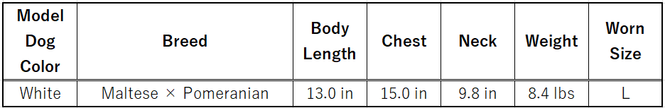 곰 모양의 개 릴렉스웨어