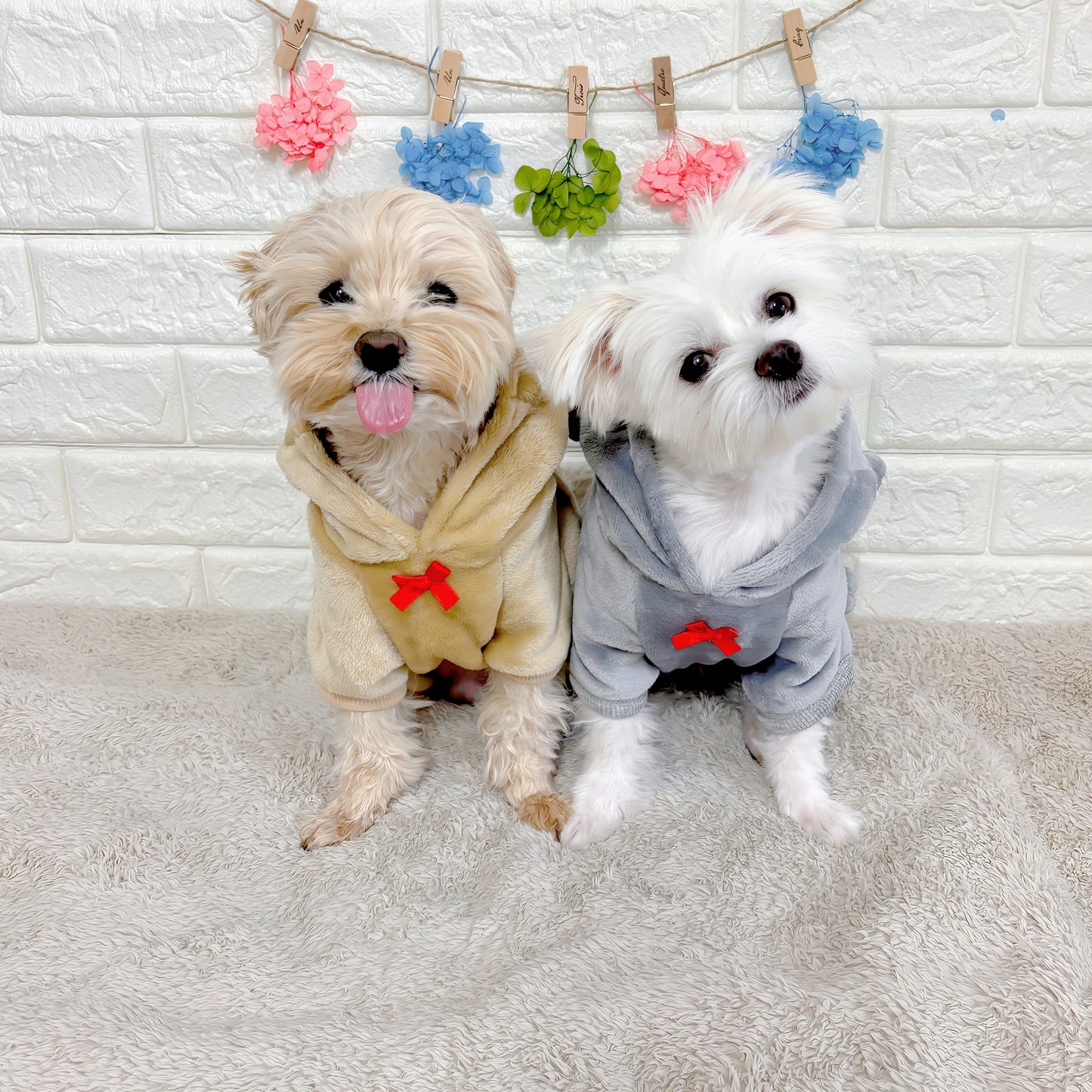 冬向けの犬用洋服、ふわふわで暖かいクマさん着ぐるみドッグウェア。防寒対策◎。汚れ防止＆抜け毛対策に最適。おしゃれで可愛いデザインが小型犬のお散歩や部屋着にもぴったり。