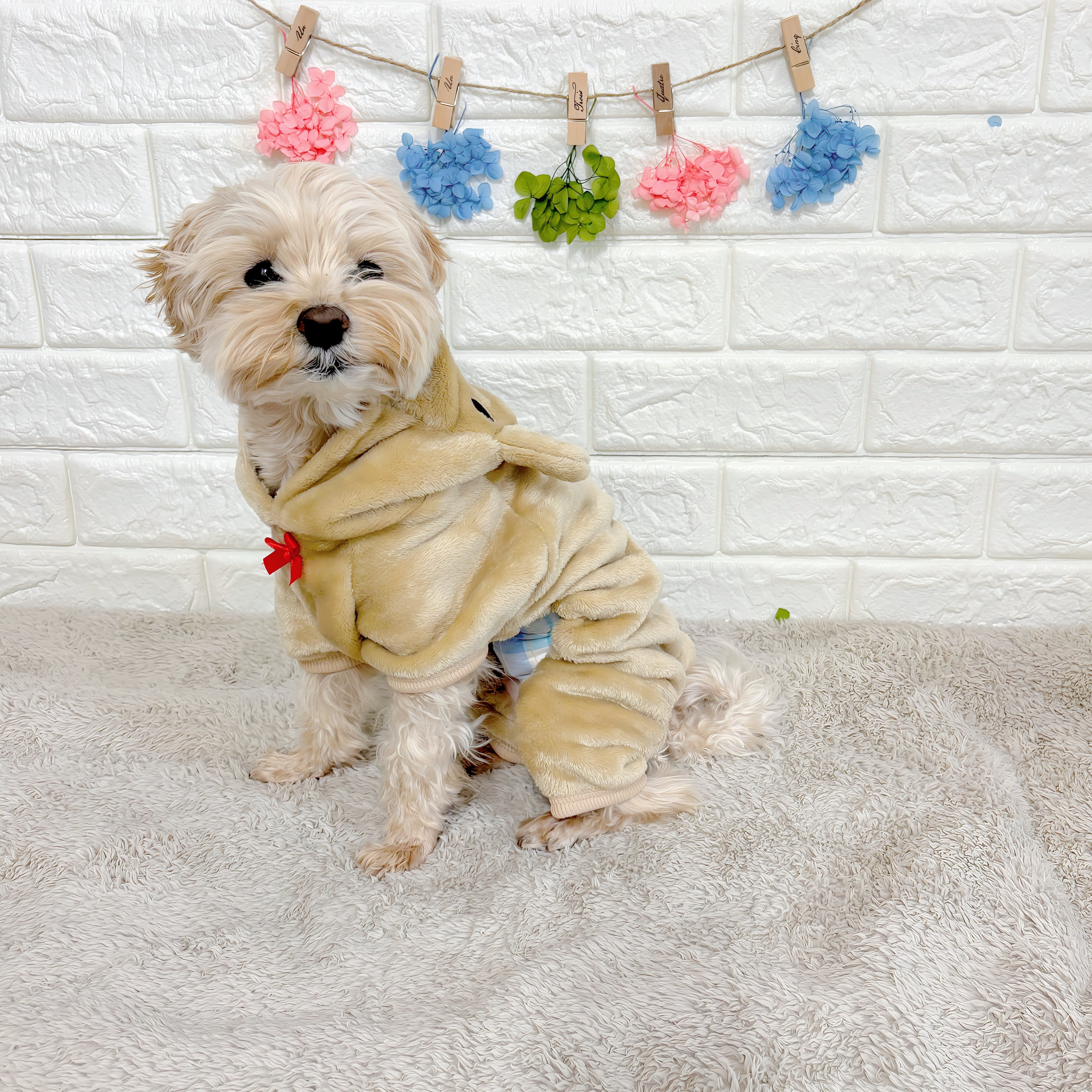 クマさん着ぐるみドッグウェア – Fuppy dog(フピードッグ)