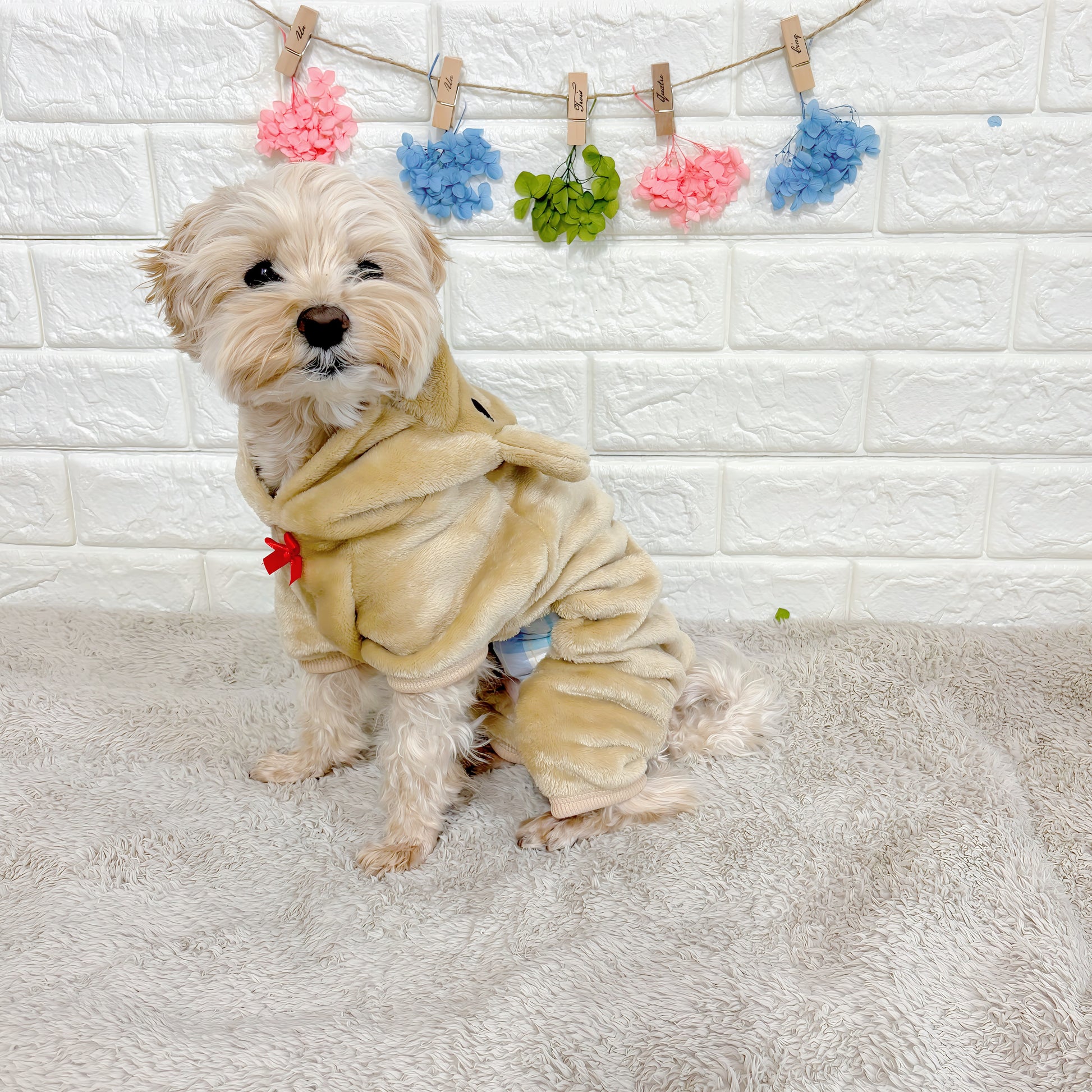 冬向けの犬用洋服、ふわふわで暖かいクマさん着ぐるみドッグウェア。防寒対策◎。汚れ防止＆抜け毛対策に最適。おしゃれで可愛いデザインが小型犬のお散歩や部屋着にもぴったり。