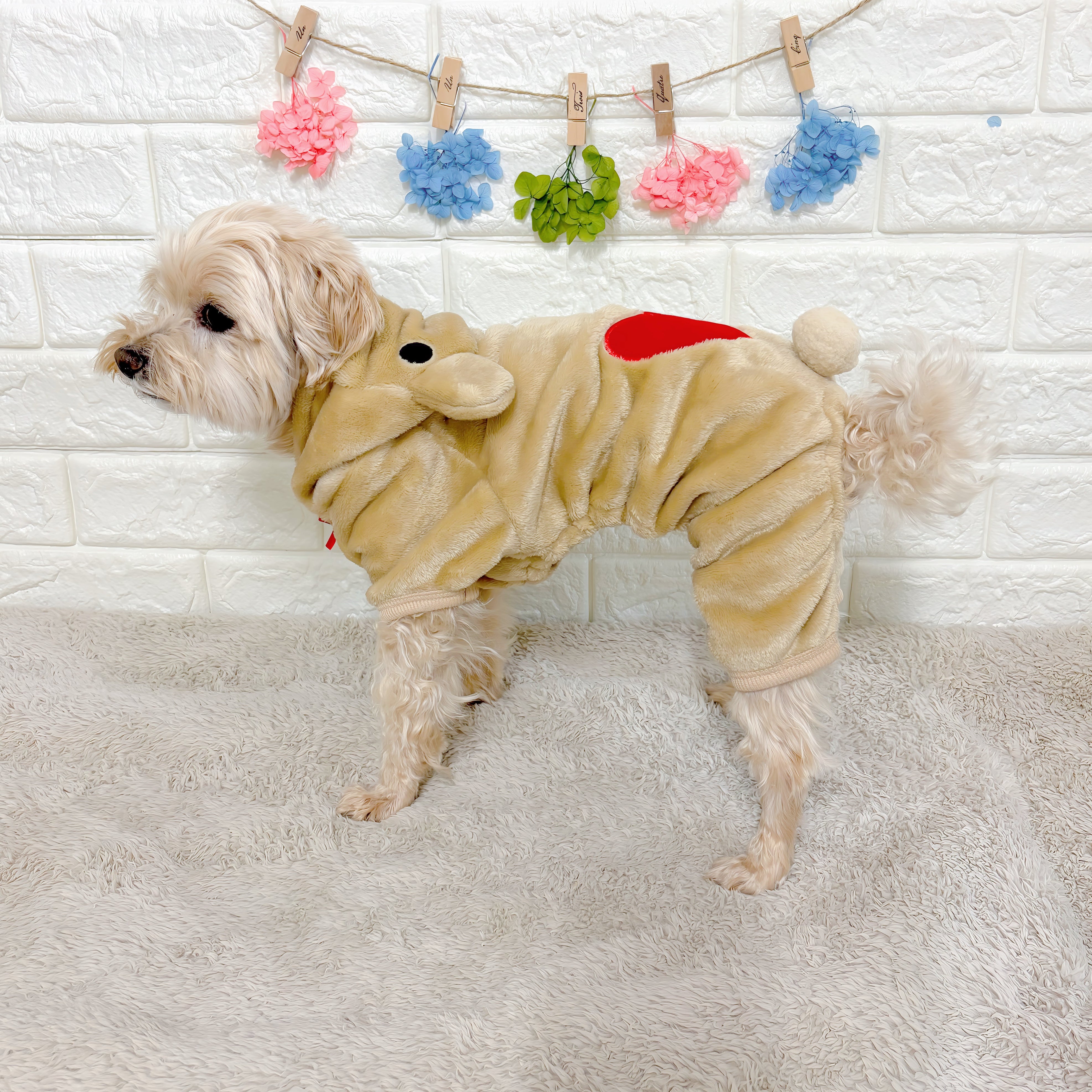 クマさん着ぐるみドッグウェア – Fuppy dog(フピードッグ)