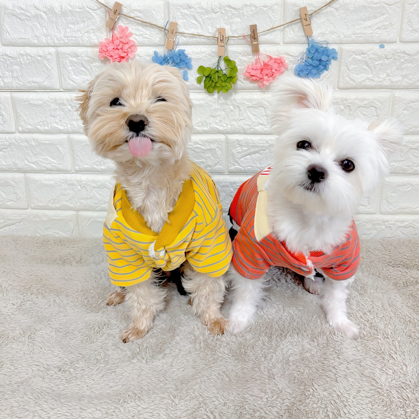 秋冬向けの犬用洋服、ふわふわで暖かいウエストポーチ付きドッグウェア。防寒・汚れ防止・抜け毛対策◎。前ボタン仕様で着脱簡単、小型犬にも快適なおしゃれなデザイン。
