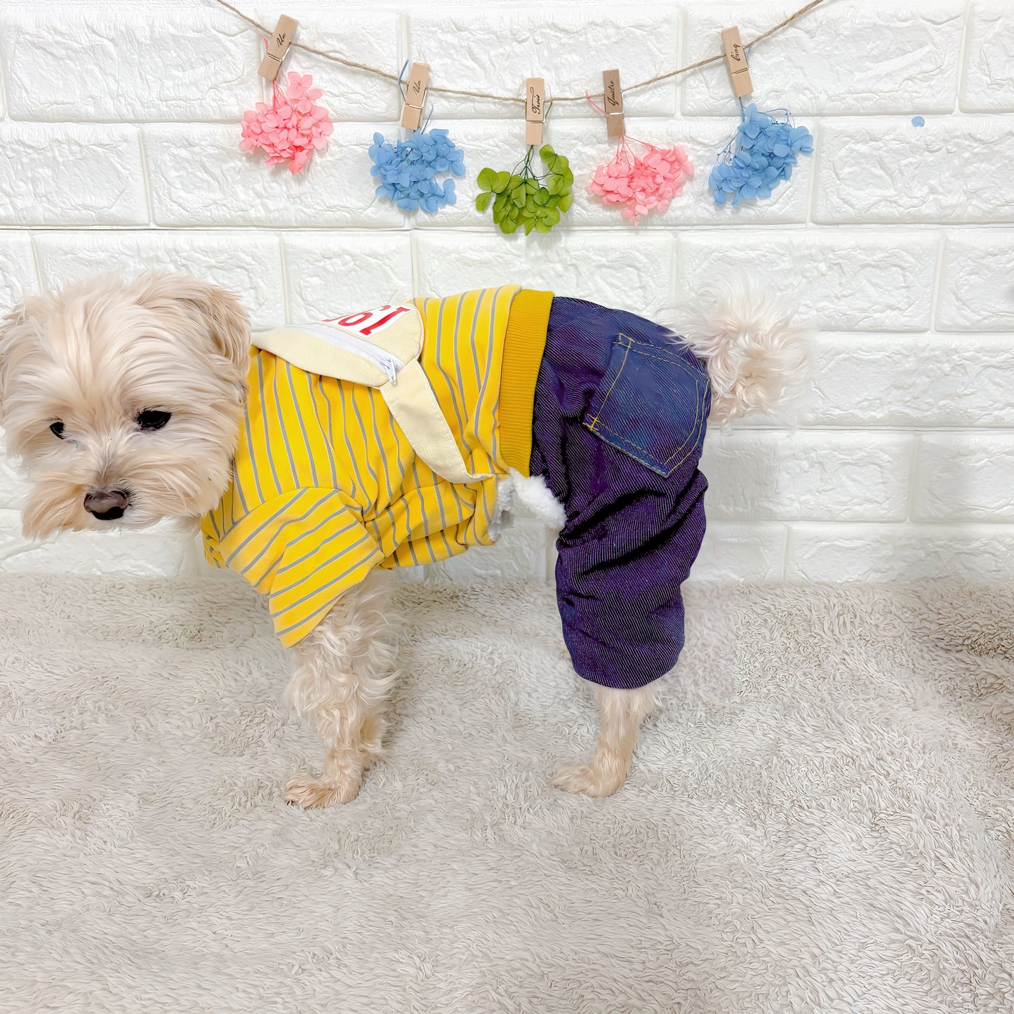 秋冬向けの犬用洋服、ふわふわで暖かいウエストポーチ付きドッグウェア。防寒・汚れ防止・抜け毛対策◎。前ボタン仕様で着脱簡単、小型犬にも快適なおしゃれなデザイン。