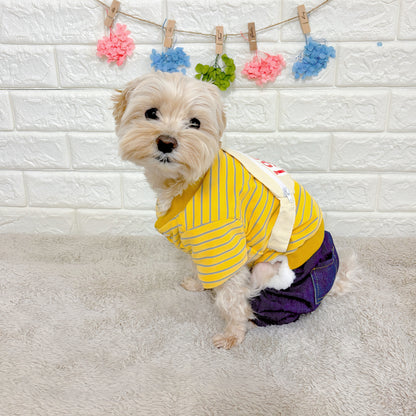 秋冬向けの犬用洋服、ふわふわで暖かいウエストポーチ付きドッグウェア。防寒・汚れ防止・抜け毛対策◎。前ボタン仕様で着脱簡単、小型犬にも快適なおしゃれなデザイン。