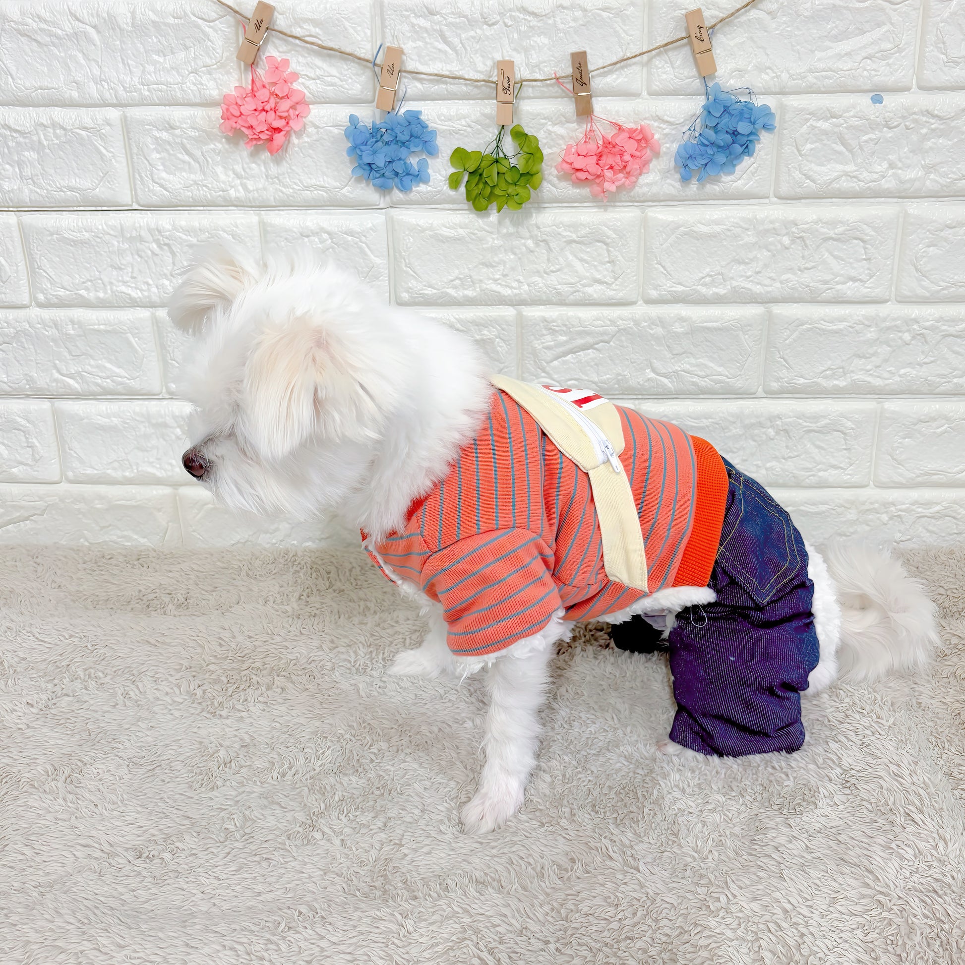 秋冬向けの犬用洋服、ふわふわで暖かいウエストポーチ付きドッグウェア。防寒・汚れ防止・抜け毛対策◎。前ボタン仕様で着脱簡単、小型犬にも快適なおしゃれなデザイン。