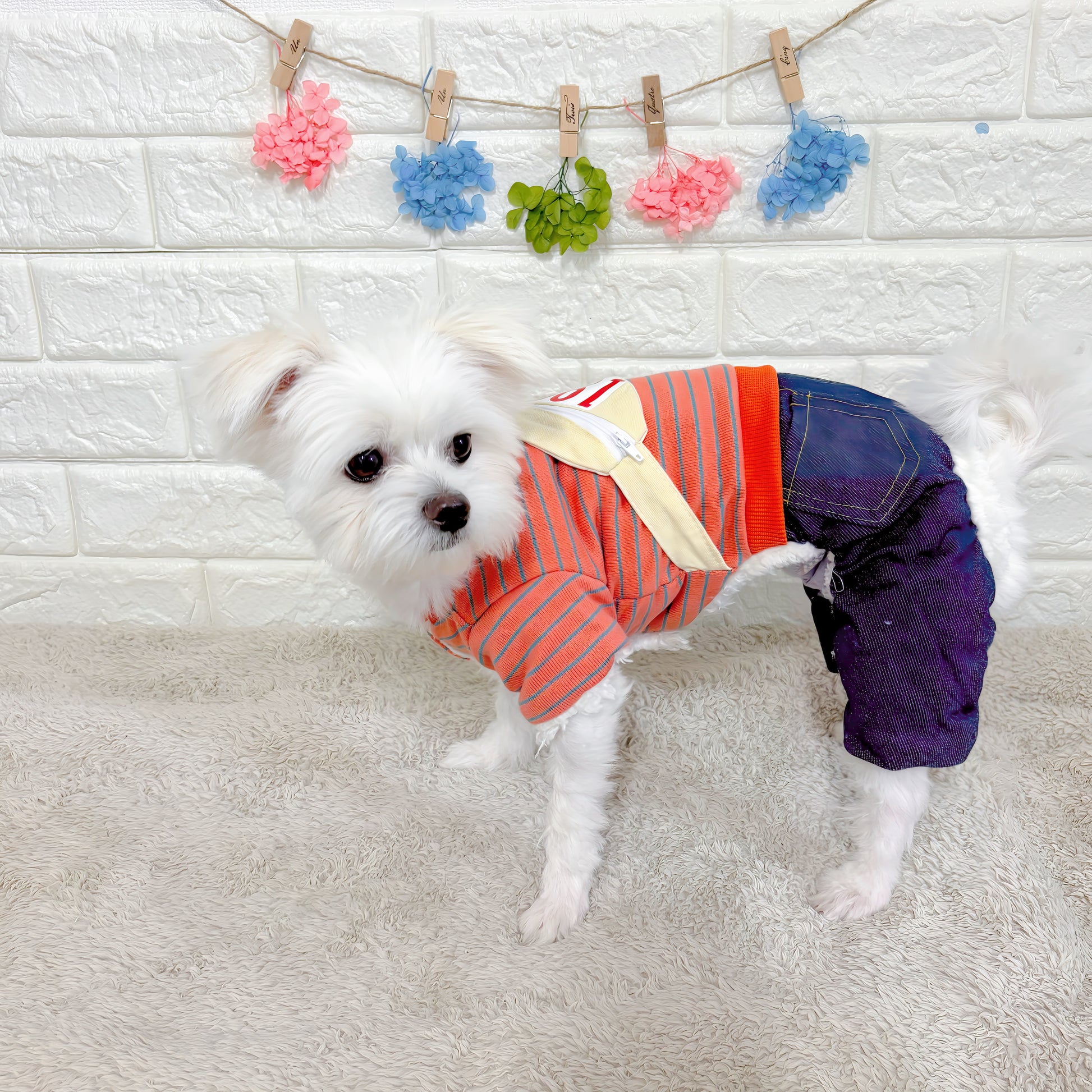 秋冬向けの犬用洋服、ふわふわで暖かいウエストポーチ付きドッグウェア。防寒・汚れ防止・抜け毛対策◎。前ボタン仕様で着脱簡単、小型犬にも快適なおしゃれなデザイン。