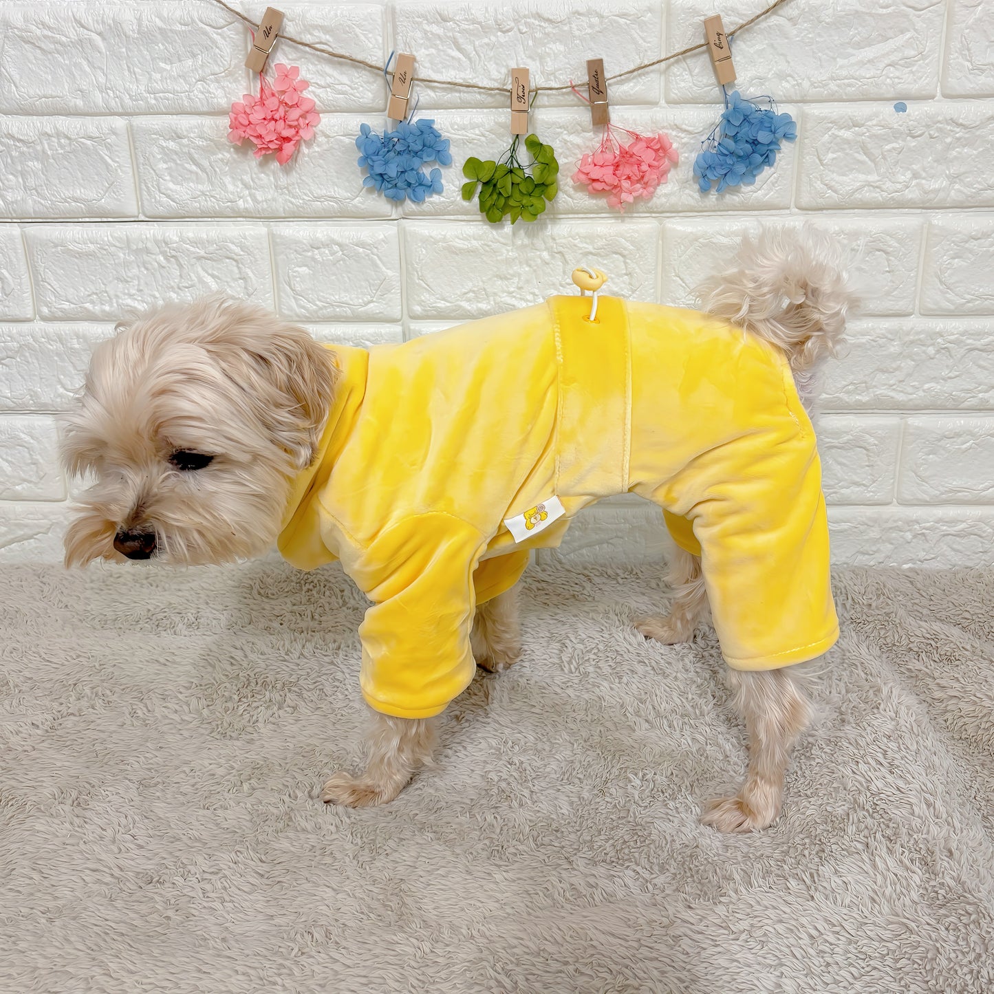 秋冬向けの犬用洋服、暖かいコーデュロイ素材のおしゃれなドッグウェア。防寒・汚れ防止・抜け毛対策に最適。前ボタン仕様で着脱簡単、小型犬にもおすすめ。