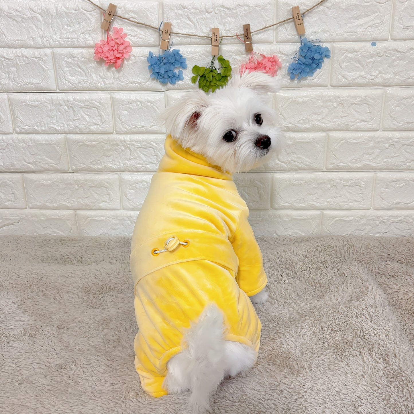 秋冬向けの犬用洋服、暖かいコーデュロイ素材のおしゃれなドッグウェア。防寒・汚れ防止・抜け毛対策に最適。前ボタン仕様で着脱簡単、小型犬にもおすすめ。