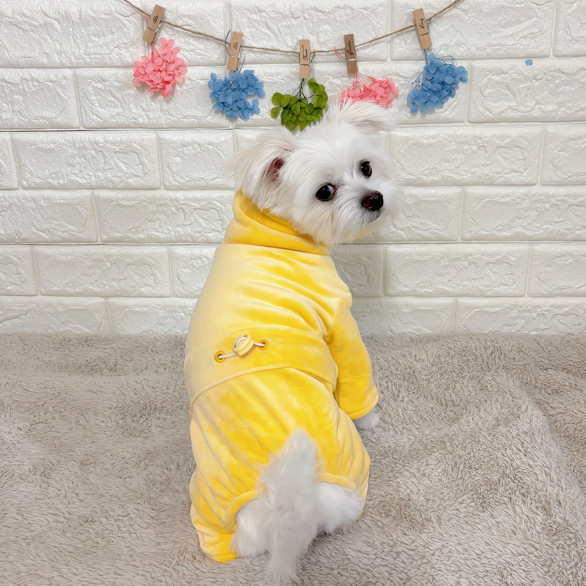 秋冬向けの犬用洋服、暖かいコーデュロイ素材のおしゃれなドッグウェア。防寒・汚れ防止・抜け毛対策に最適。前ボタン仕様で着脱簡単、小型犬にもおすすめ。