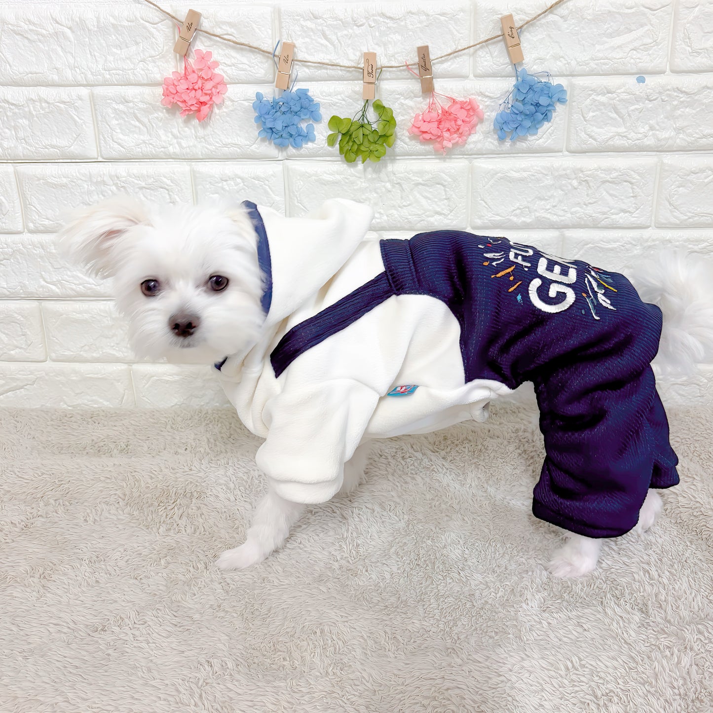 「秋冬向けの犬用洋服、おしゃれなオーバーオール風ドッグウェア。暖か素材で防寒対策◎。汚れ防止＆抜け毛対策にも最適。前ボタン仕様で着脱簡単な小型犬向けデザイン。