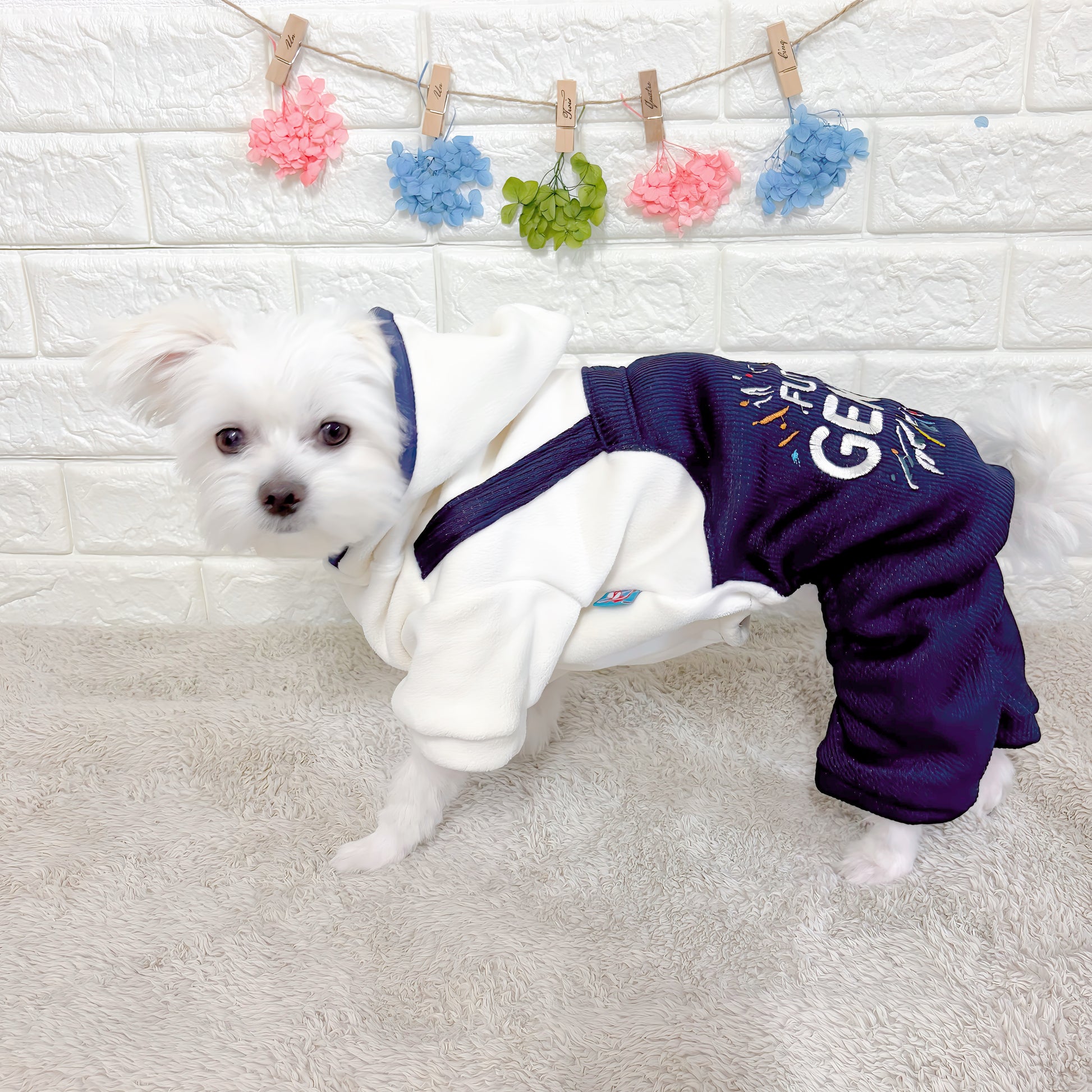 「秋冬向けの犬用洋服、おしゃれなオーバーオール風ドッグウェア。暖か素材で防寒対策◎。汚れ防止＆抜け毛対策にも最適。前ボタン仕様で着脱簡単な小型犬向けデザイン。