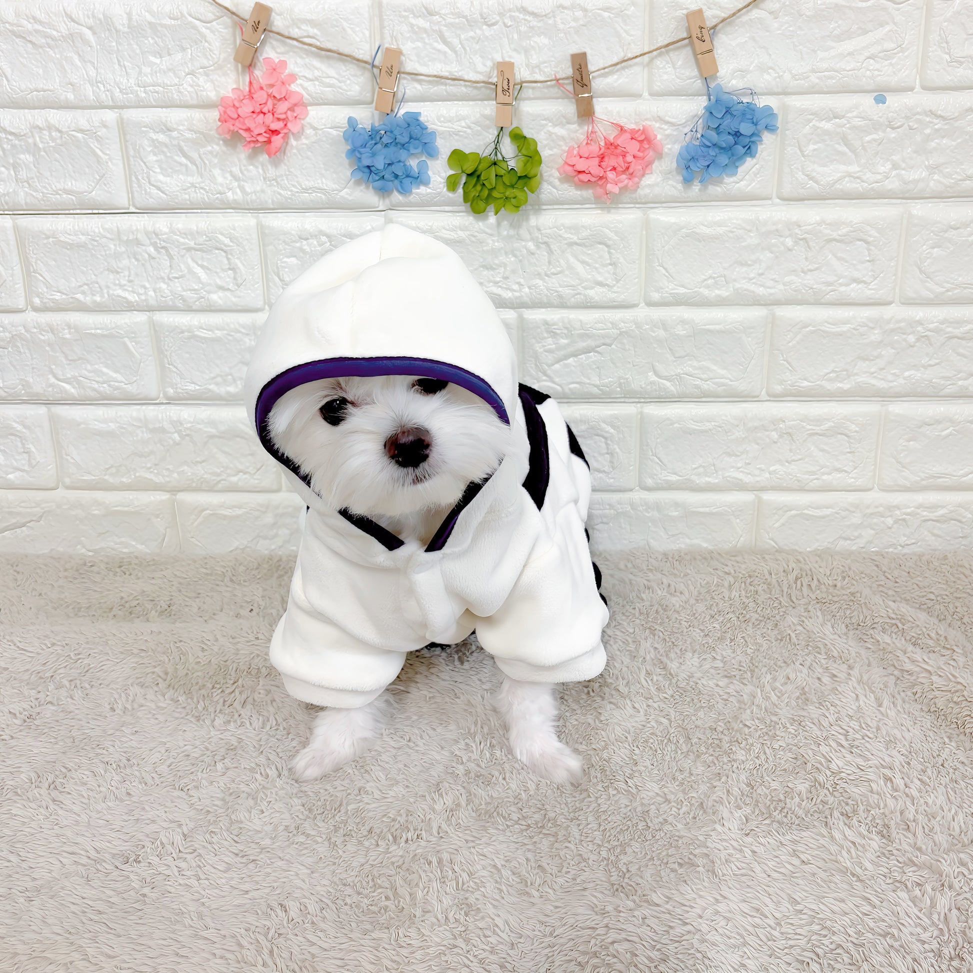 「秋冬向けの犬用洋服、おしゃれなオーバーオール風ドッグウェア。暖か素材で防寒対策◎。汚れ防止＆抜け毛対策にも最適。前ボタン仕様で着脱簡単な小型犬向けデザイン。