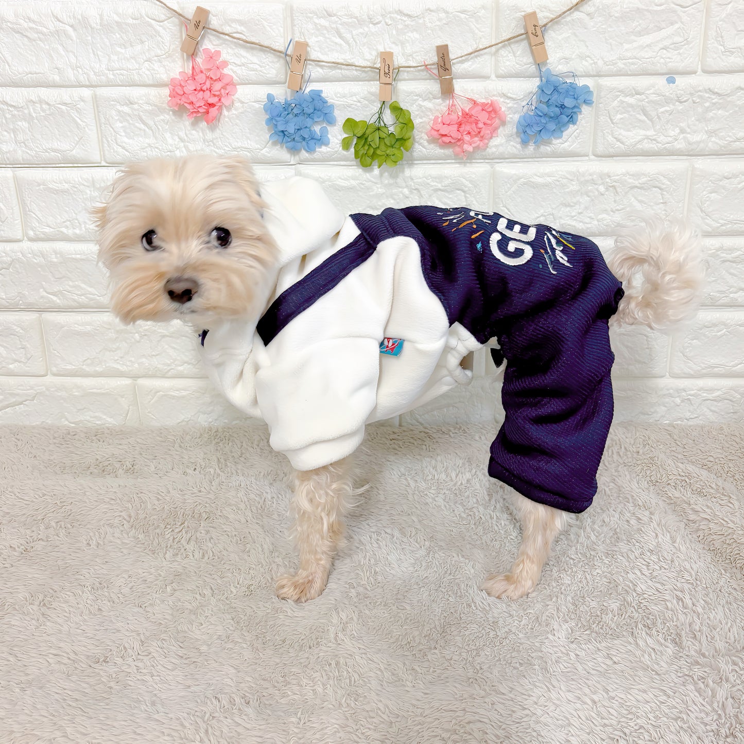 「秋冬向けの犬用洋服、おしゃれなオーバーオール風ドッグウェア。暖か素材で防寒対策◎。汚れ防止＆抜け毛対策にも最適。前ボタン仕様で着脱簡単な小型犬向けデザイン。