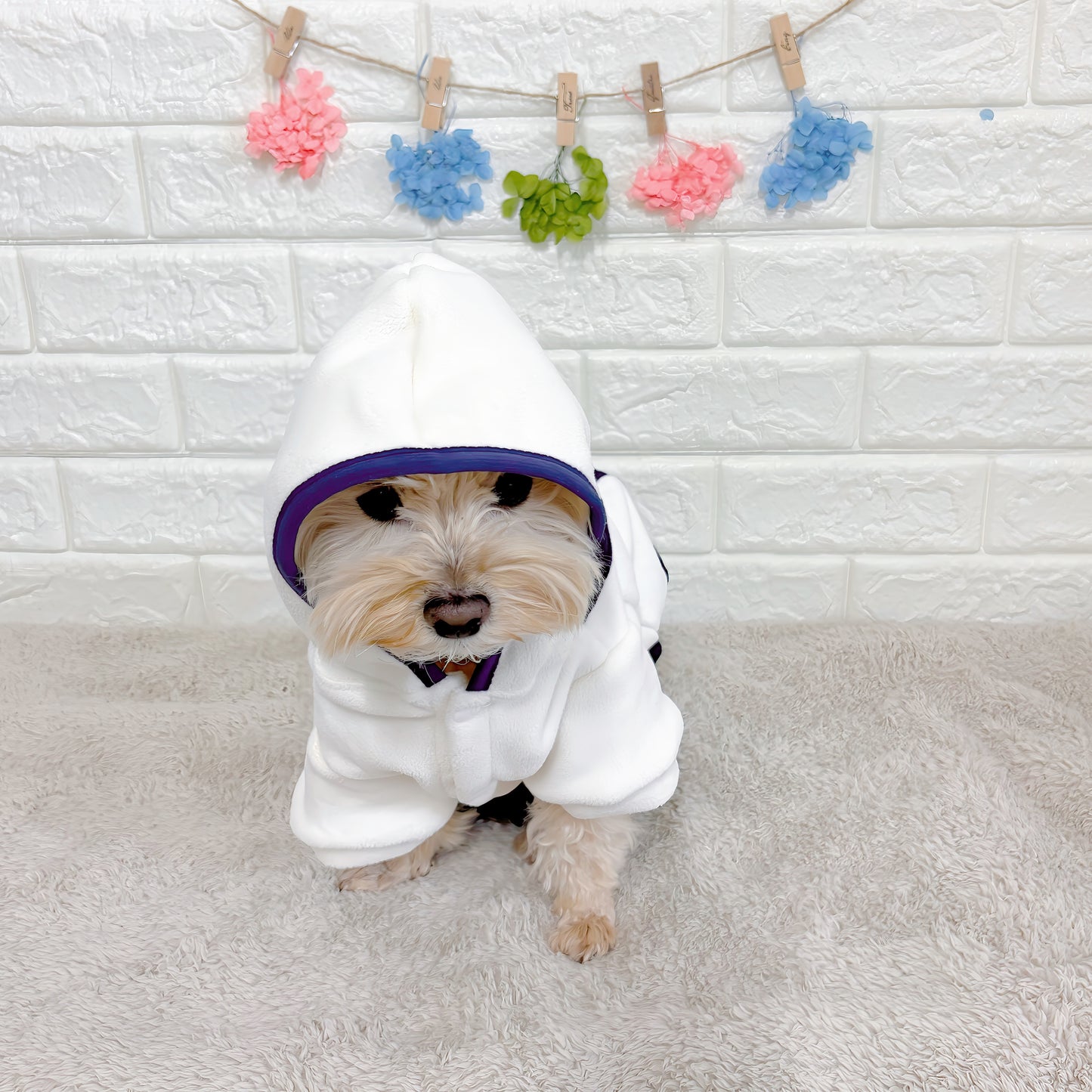 「秋冬向けの犬用洋服、おしゃれなオーバーオール風ドッグウェア。暖か素材で防寒対策◎。汚れ防止＆抜け毛対策にも最適。前ボタン仕様で着脱簡単な小型犬向けデザイン。