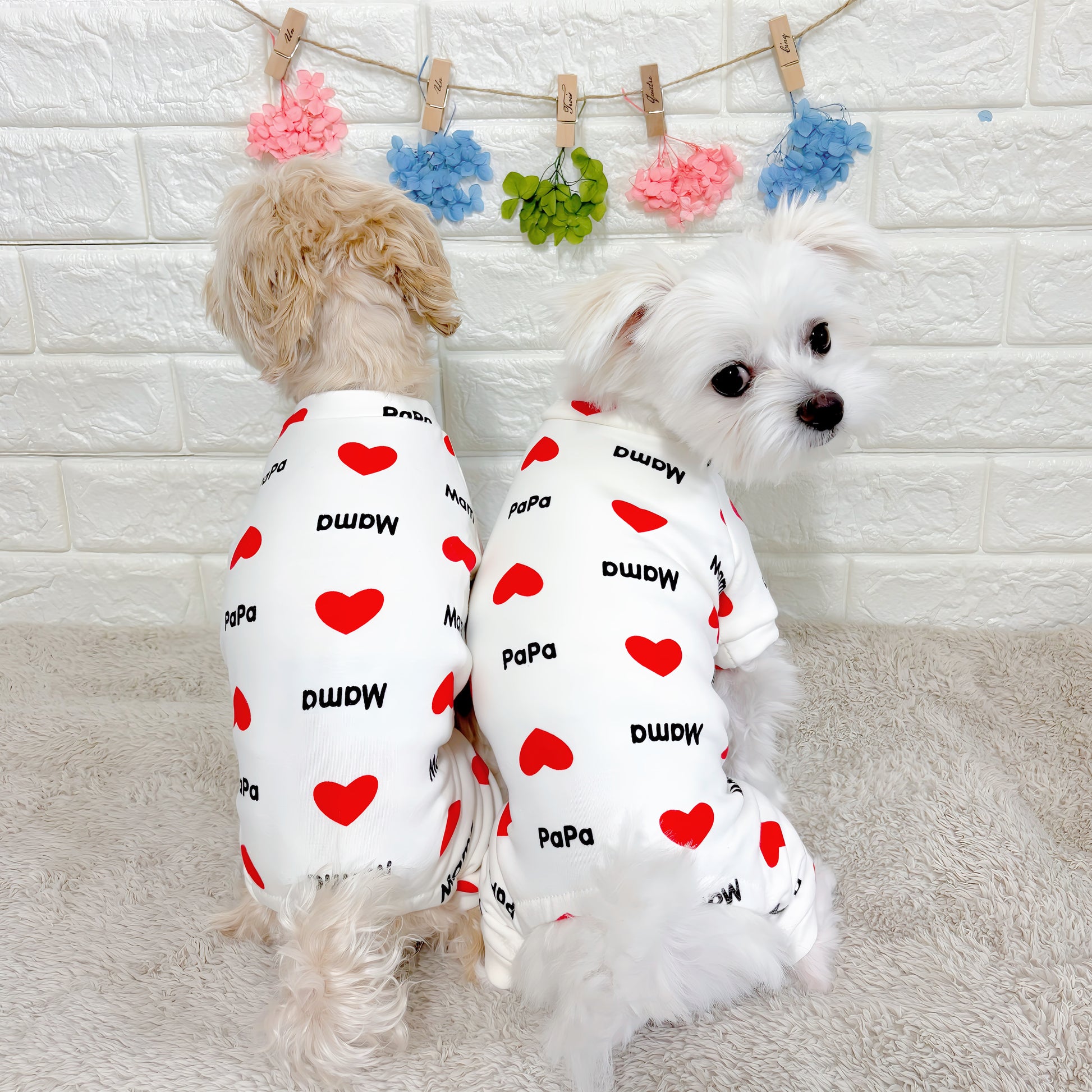 春・夏・秋向けの犬用洋服、おしゃれで可愛い赤いハート柄ドッグウェア。紫外線対策・汚れ防止・抜け毛対策◎。伸縮性があり着脱簡単。小型犬にも快適な着心地で部屋着やお出かけにも最適。