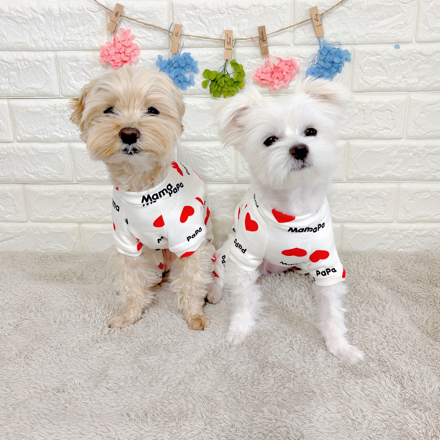 春・夏・秋向けの犬用洋服、おしゃれで可愛い赤いハート柄ドッグウェア。紫外線対策・汚れ防止・抜け毛対策◎。伸縮性があり着脱簡単。小型犬にも快適な着心地で部屋着やお出かけにも最適。