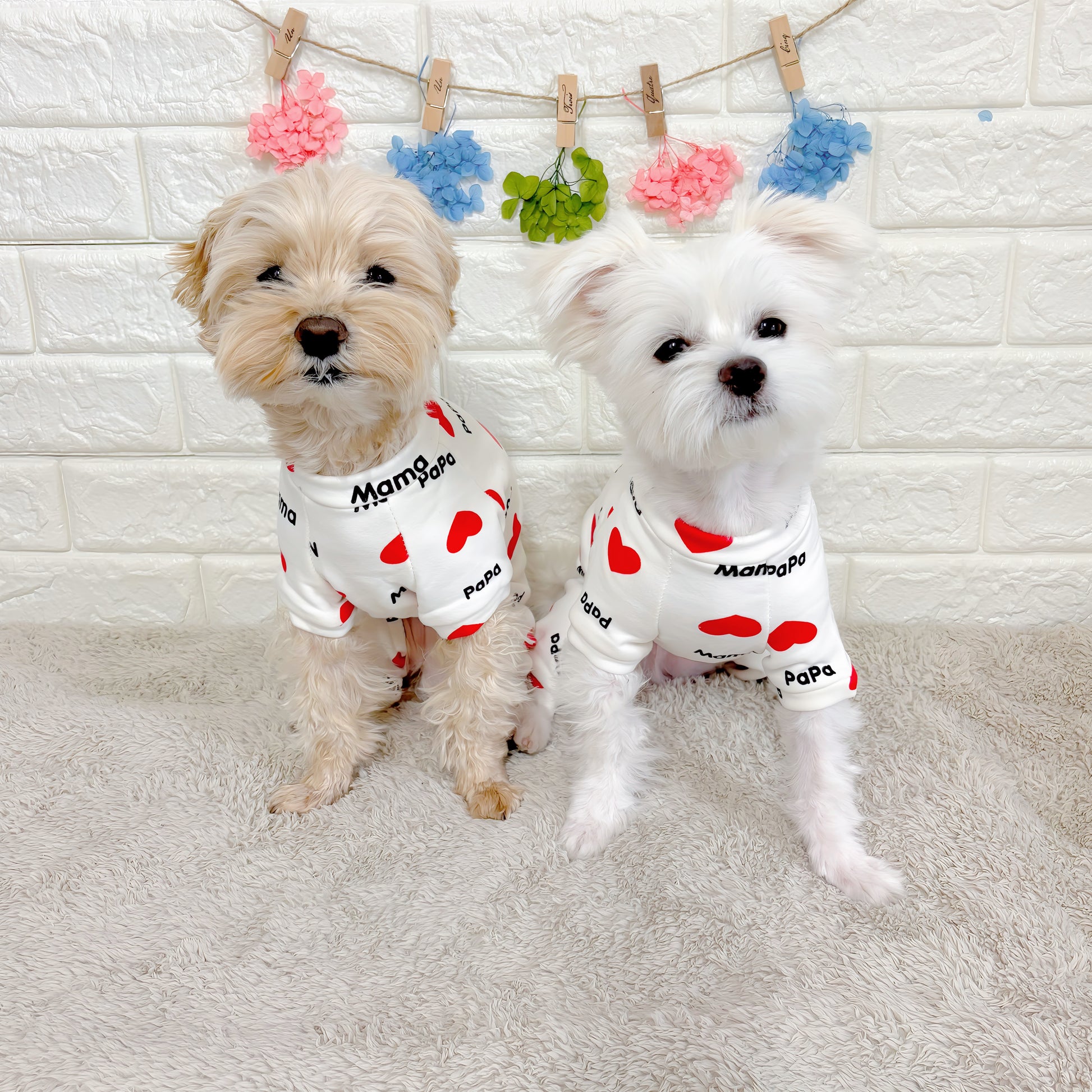 春・夏・秋向けの犬用洋服、おしゃれで可愛い赤いハート柄ドッグウェア。紫外線対策・汚れ防止・抜け毛対策◎。伸縮性があり着脱簡単。小型犬にも快適な着心地で部屋着やお出かけにも最適。