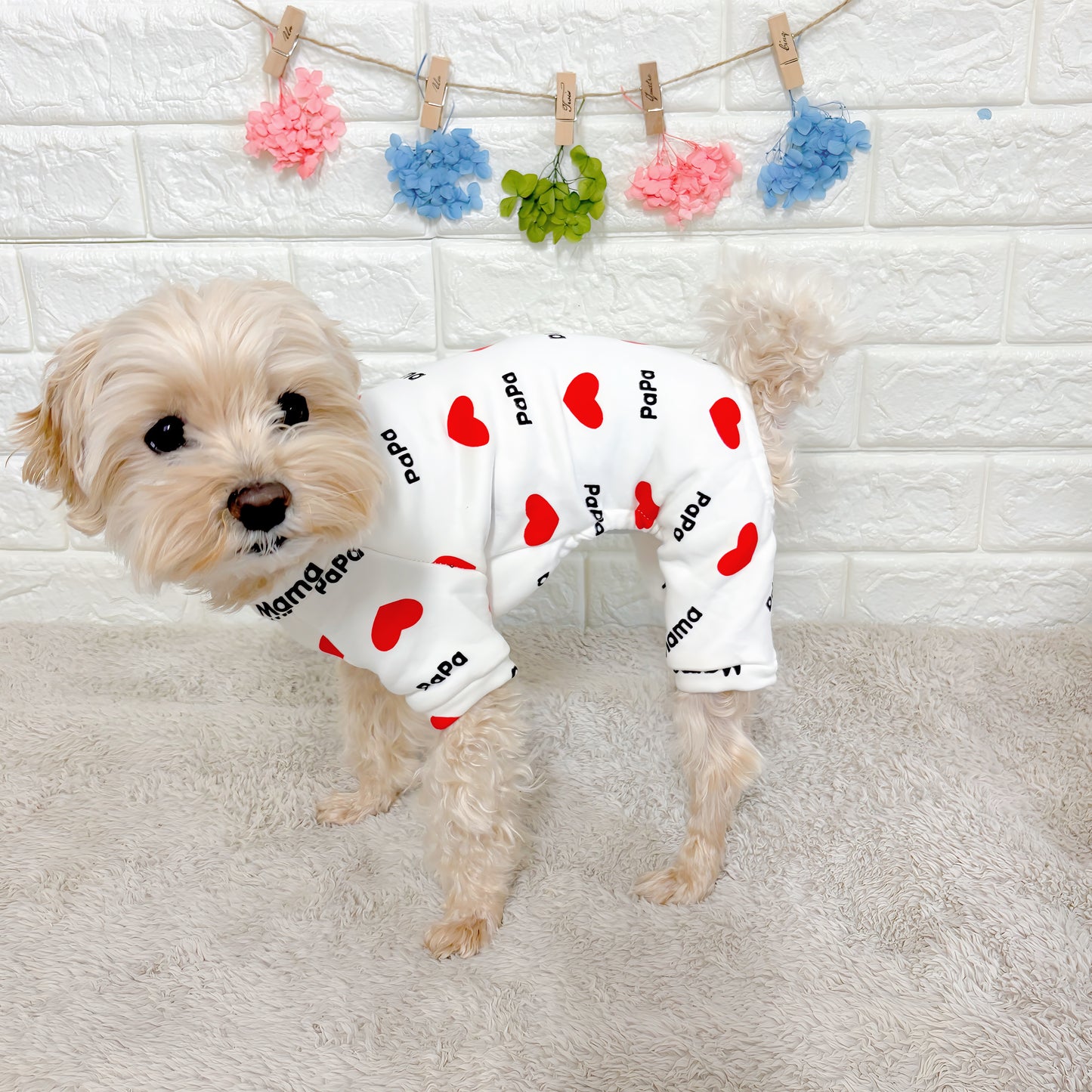 春・夏・秋向けの犬用洋服、おしゃれで可愛い赤いハート柄ドッグウェア。紫外線対策・汚れ防止・抜け毛対策◎。伸縮性があり着脱簡単。小型犬にも快適な着心地で部屋着やお出かけにも最適。