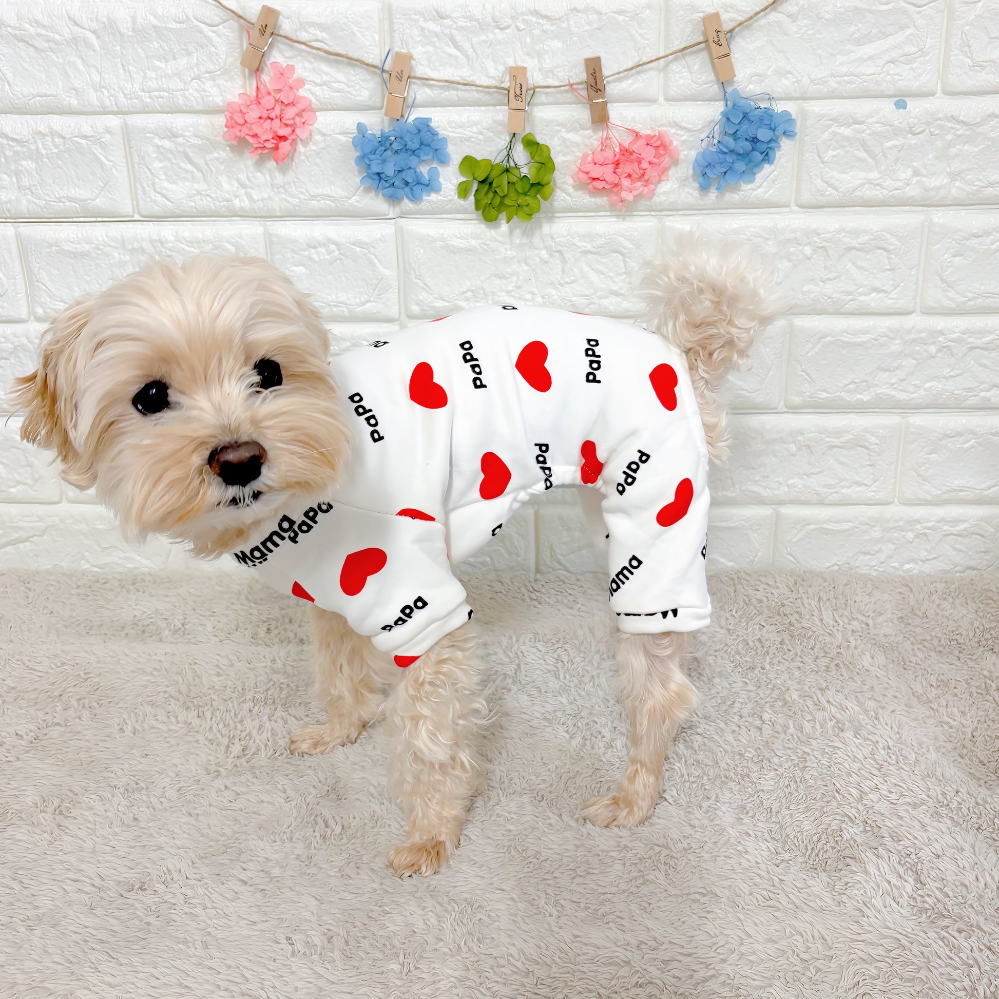 春・夏・秋向けの犬用洋服、おしゃれで可愛い赤いハート柄ドッグウェア。紫外線対策・汚れ防止・抜け毛対策◎。伸縮性があり着脱簡単。小型犬にも快適な着心地で部屋着やお出かけにも最適。