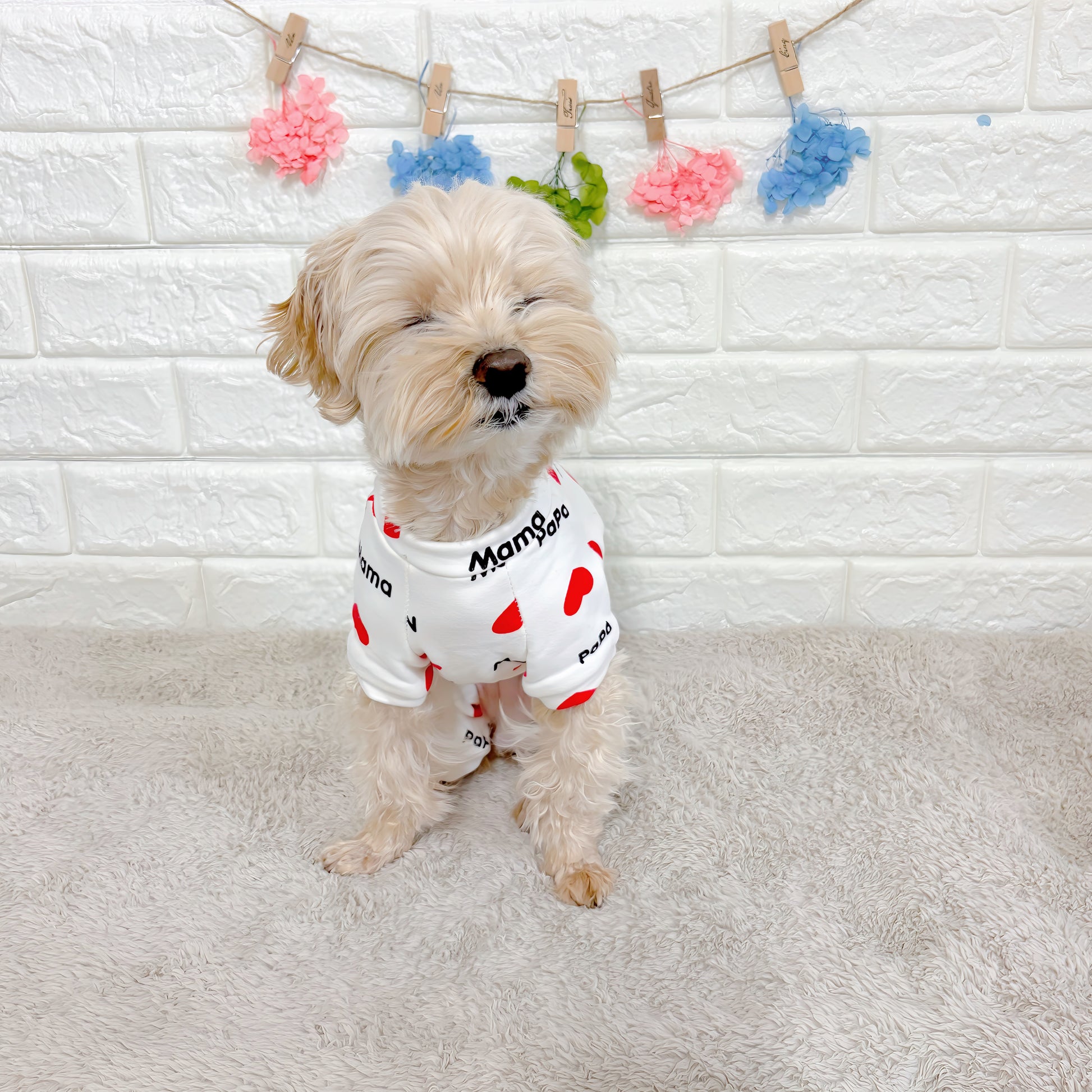 春・夏・秋向けの犬用洋服、おしゃれで可愛い赤いハート柄ドッグウェア。紫外線対策・汚れ防止・抜け毛対策◎。伸縮性があり着脱簡単。小型犬にも快適な着心地で部屋着やお出かけにも最適。