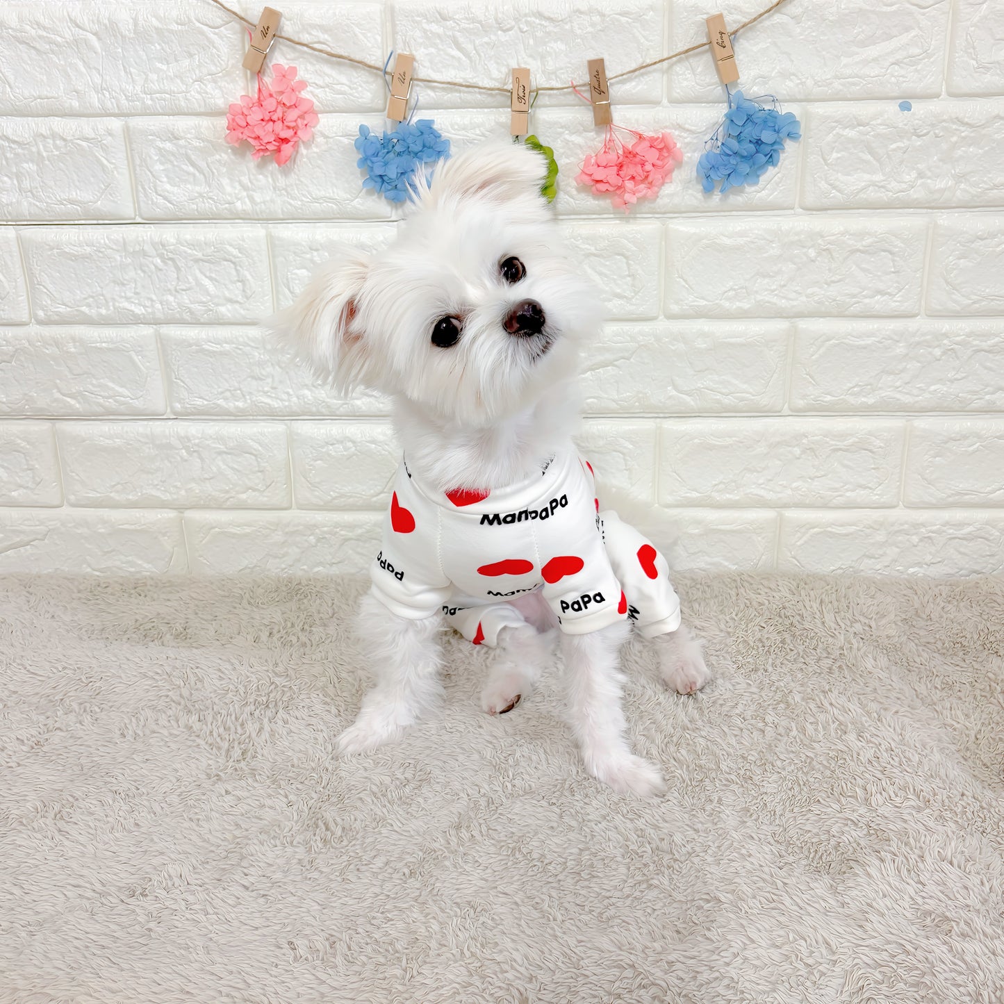 春・夏・秋向けの犬用洋服、おしゃれで可愛い赤いハート柄ドッグウェア。紫外線対策・汚れ防止・抜け毛対策◎。伸縮性があり着脱簡単。小型犬にも快適な着心地で部屋着やお出かけにも最適。