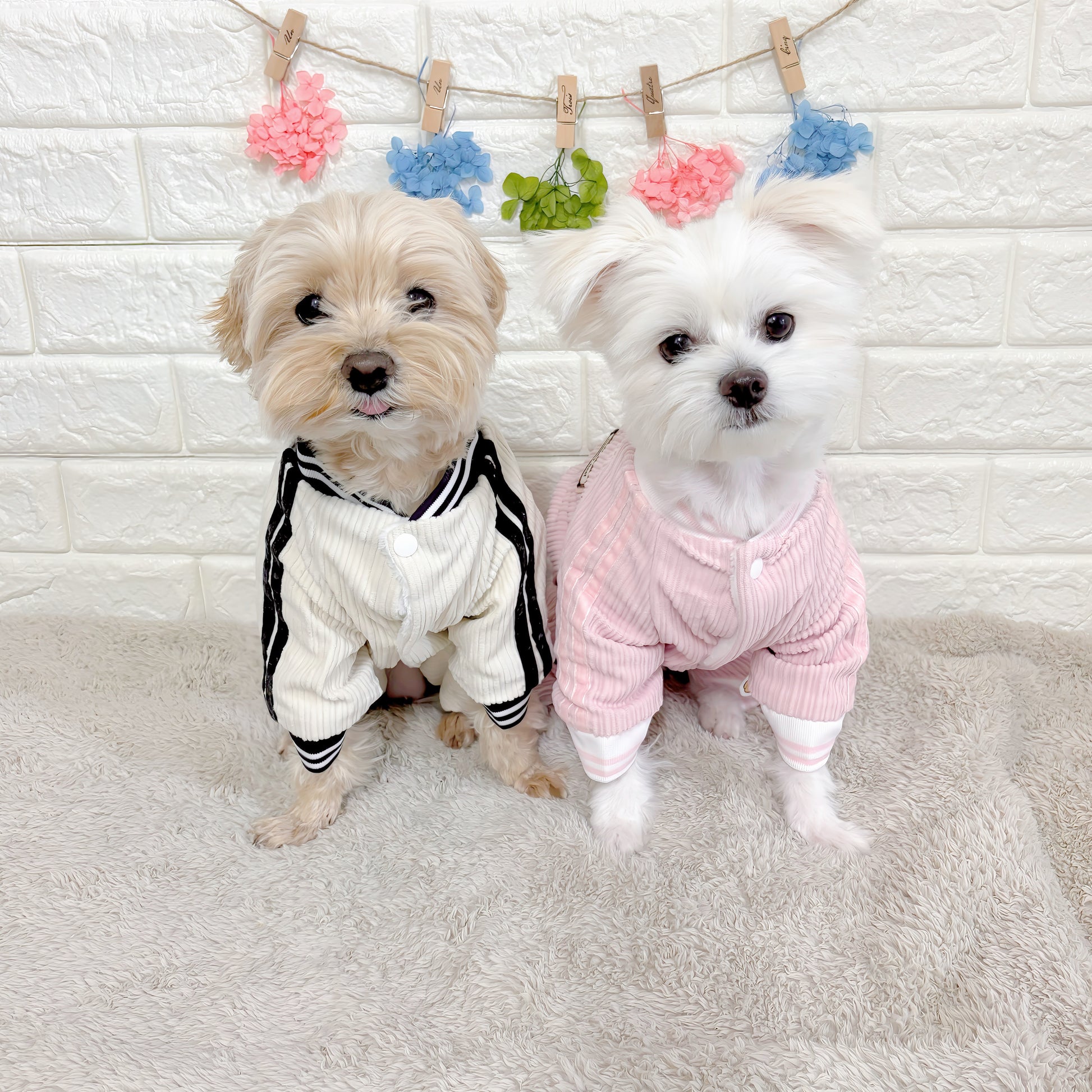 秋冬向けの犬用洋服、ふわふわで暖かいストライプデザインのドッグウェア。防寒・汚れ防止・抜け毛対策に最適。前ボタン仕様で着脱簡単、小型犬にもおすすめ。