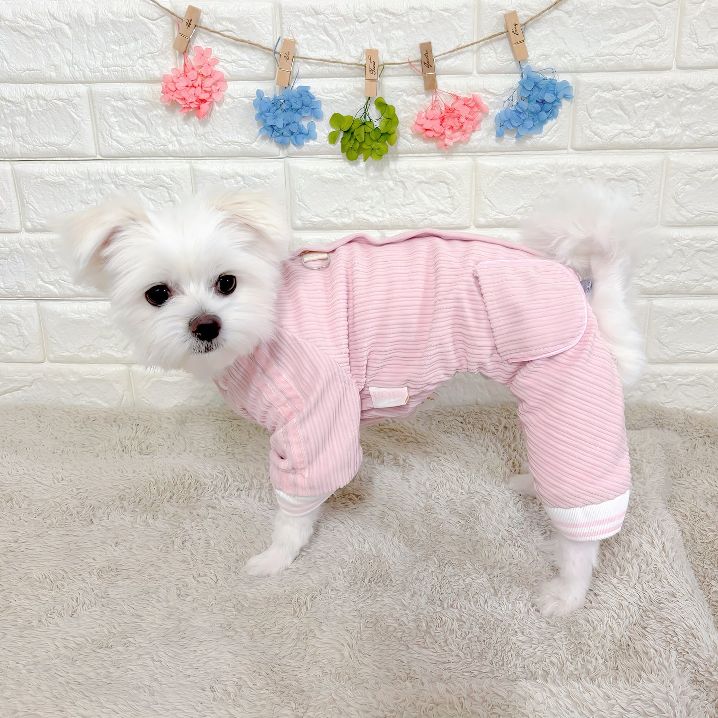 秋冬向けの犬用洋服、ふわふわで暖かいストライプデザインのドッグウェア。防寒・汚れ防止・抜け毛対策に最適。前ボタン仕様で着脱簡単、小型犬にもおすすめ。