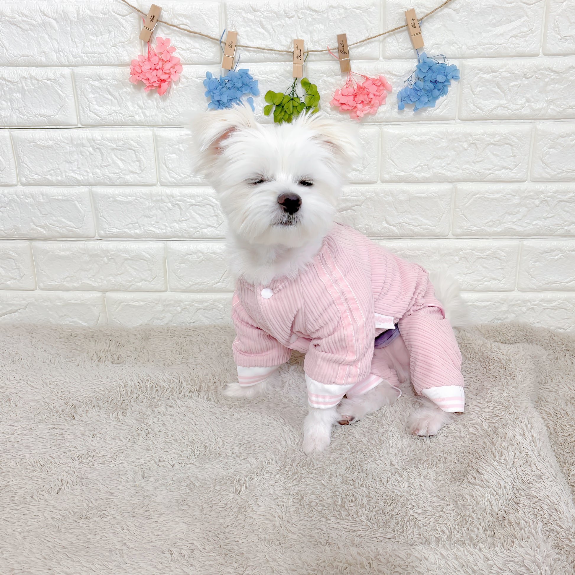 秋冬向けの犬用洋服、ふわふわで暖かいストライプデザインのドッグウェア。防寒・汚れ防止・抜け毛対策に最適。前ボタン仕様で着脱簡単、小型犬にもおすすめ。