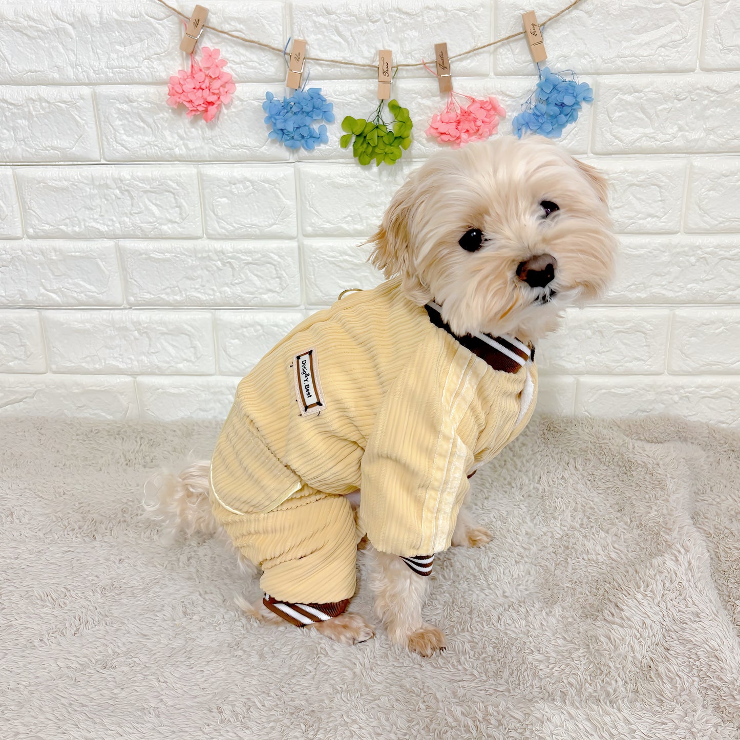 秋冬向けの犬用洋服、ふわふわで暖かいストライプデザインのドッグウェア。防寒・汚れ防止・抜け毛対策に最適。前ボタン仕様で着脱簡単、小型犬にもおすすめ。