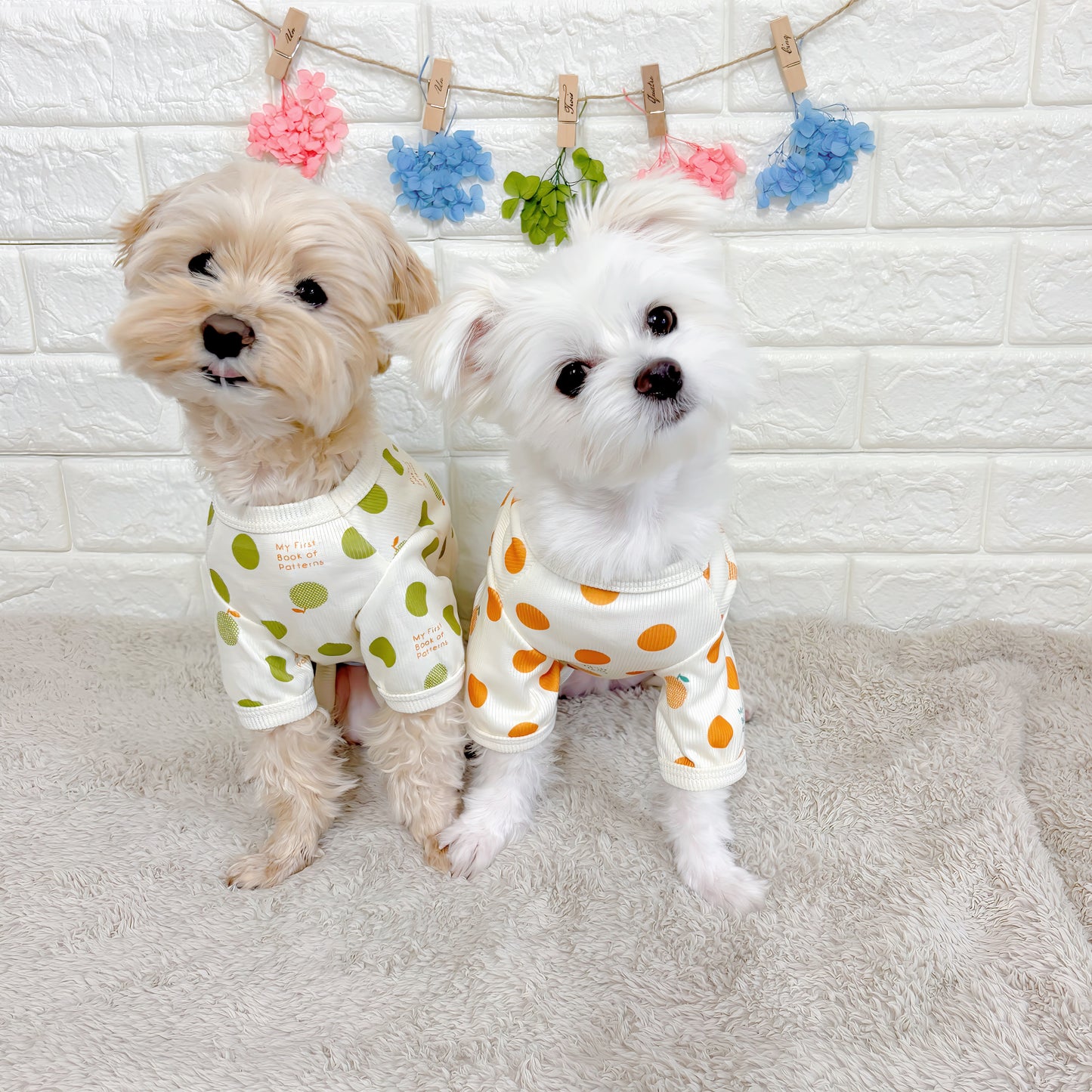 春夏向けの犬用洋服、おしゃれで可愛いフルーツ柄ドッグウェア。防蚊機能＆虫よけ対策◎。汚れ防止＆抜け毛対策に最適。伸縮性があり快適な着心地で、小型犬の部屋着やお散歩にもぴったり。