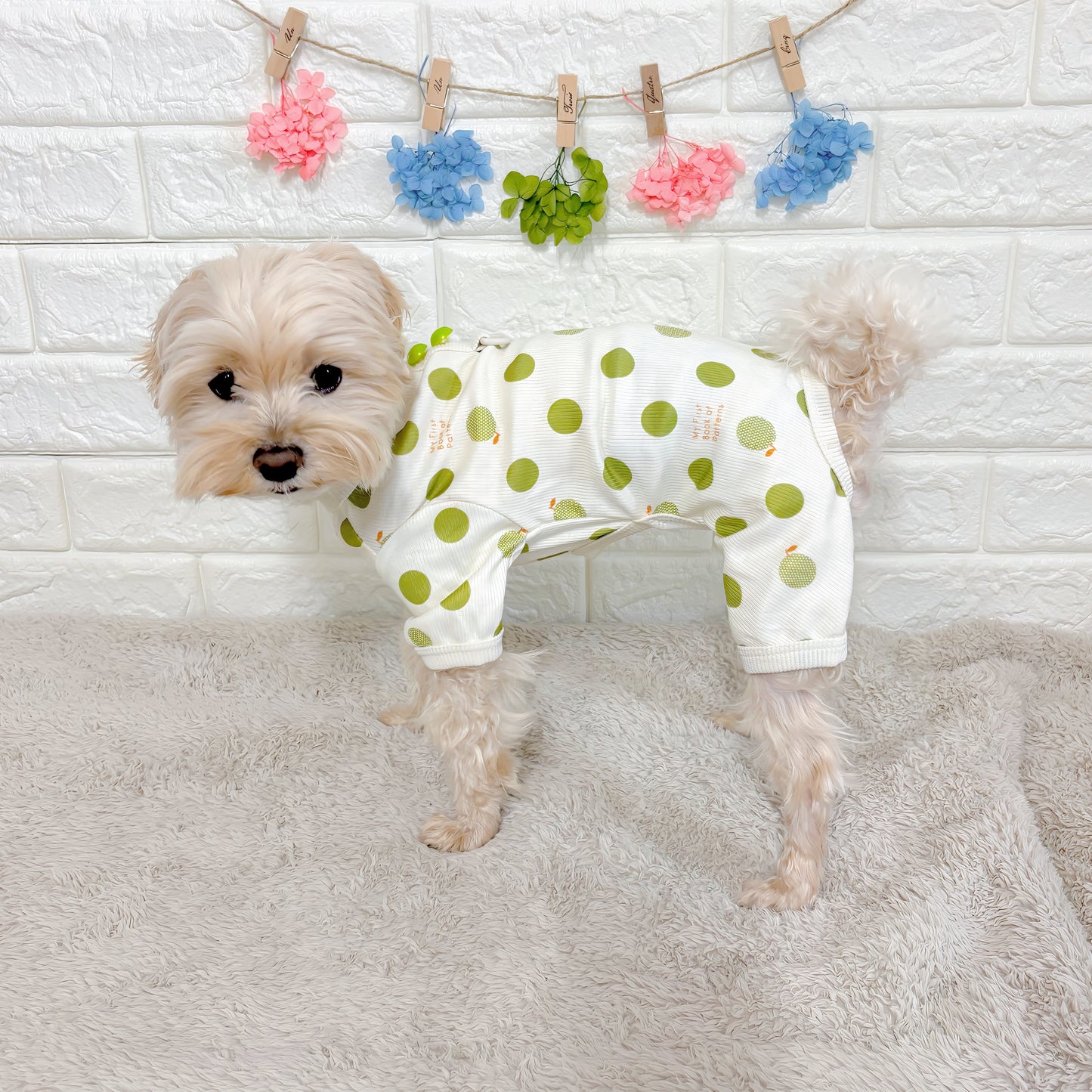 春夏向けの犬用洋服、おしゃれで可愛いフルーツ柄ドッグウェア。防蚊機能＆虫よけ対策◎。汚れ防止＆抜け毛対策に最適。伸縮性があり快適な着心地で、小型犬の部屋着やお散歩にもぴったり。