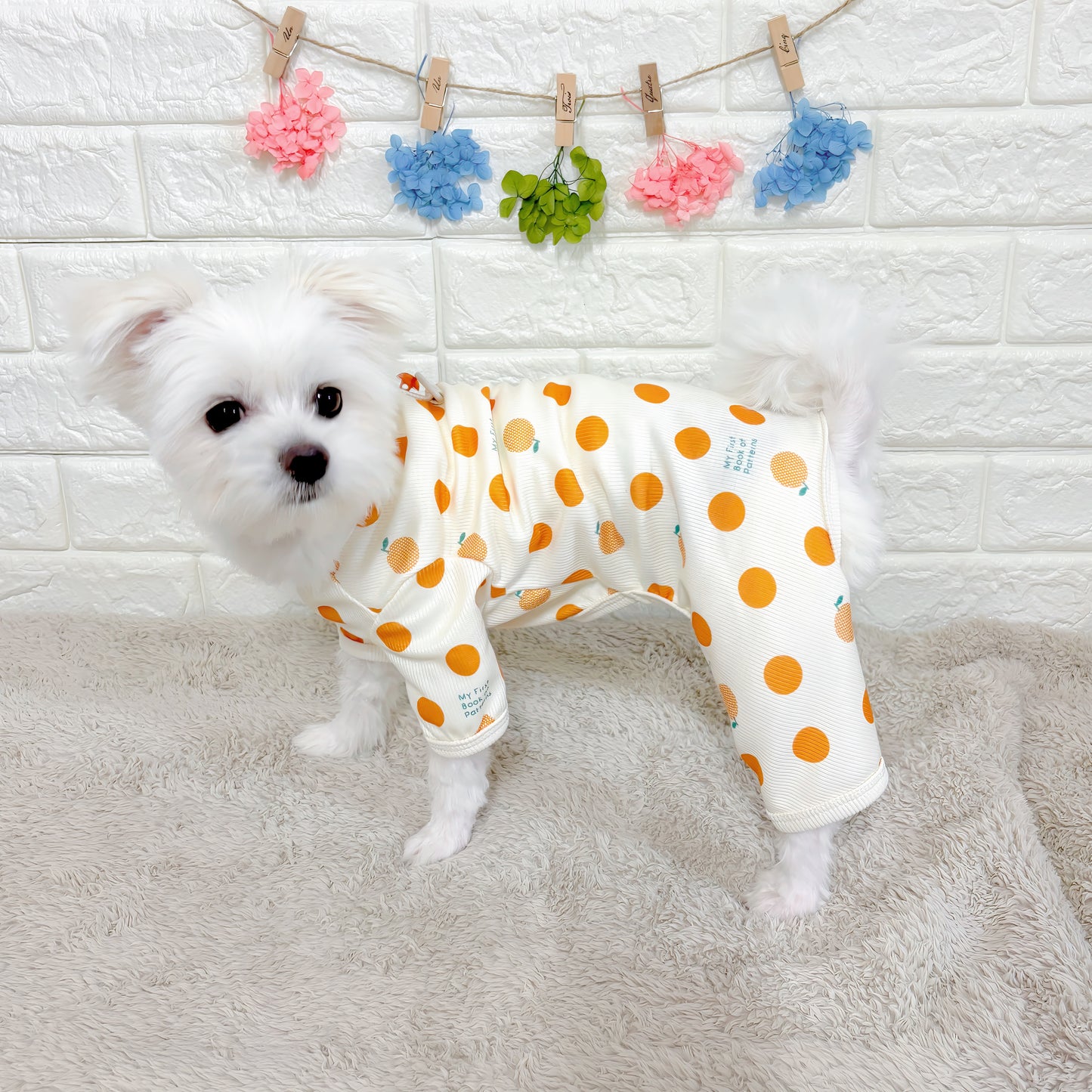 春夏向けの犬用洋服、おしゃれで可愛いフルーツ柄ドッグウェア。防蚊機能＆虫よけ対策◎。汚れ防止＆抜け毛対策に最適。伸縮性があり快適な着心地で、小型犬の部屋着やお散歩にもぴったり。