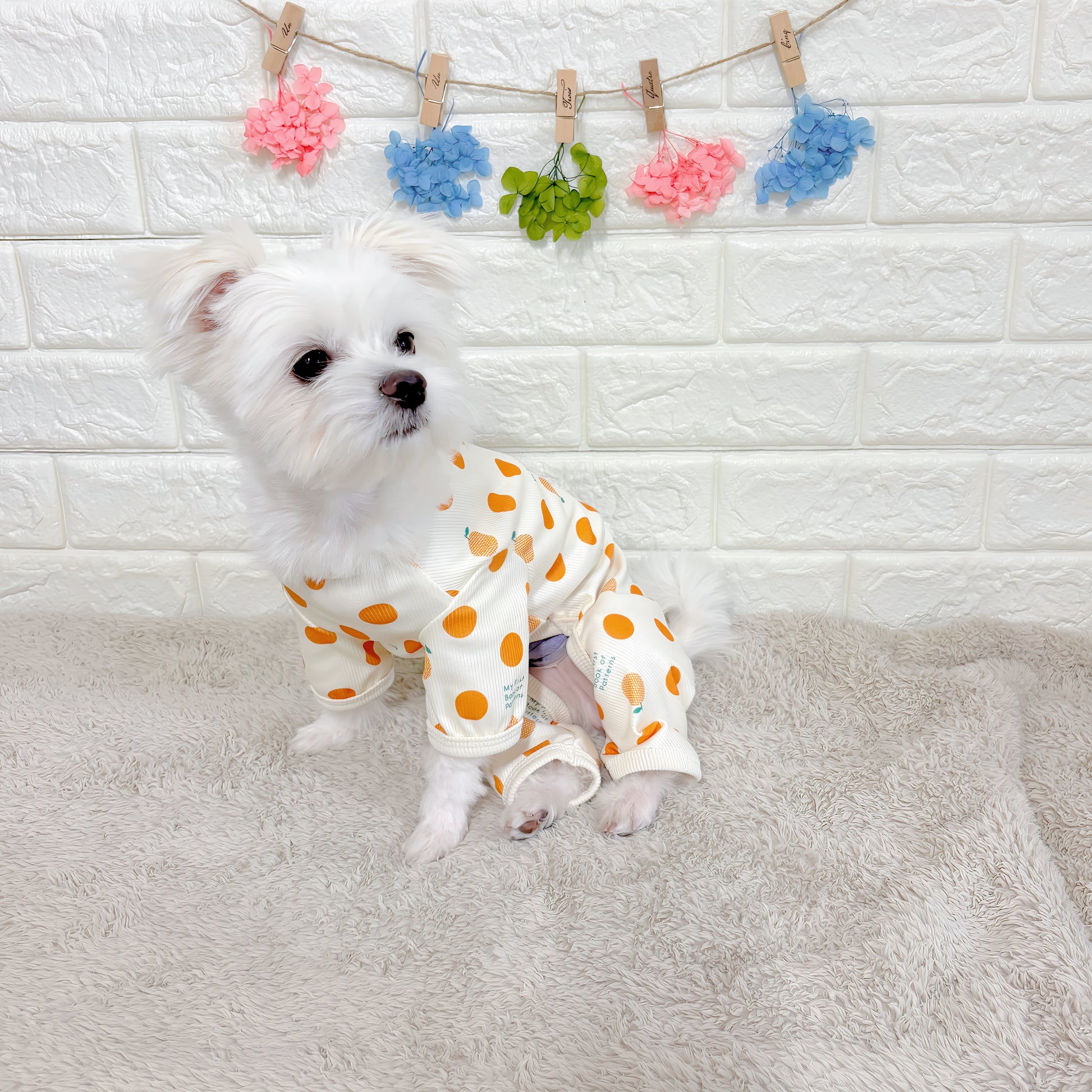 春夏向けの犬用洋服、おしゃれで可愛いフルーツ柄ドッグウェア。防蚊機能＆虫よけ対策◎。汚れ防止＆抜け毛対策に最適。伸縮性があり快適な着心地で、小型犬の部屋着やお散歩にもぴったり。