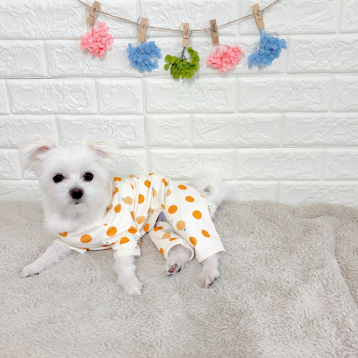 春夏向けの犬用洋服、おしゃれで可愛いフルーツ柄ドッグウェア。防蚊機能＆虫よけ対策◎。汚れ防止＆抜け毛対策に最適。伸縮性があり快適な着心地で、小型犬の部屋着やお散歩にもぴったり。